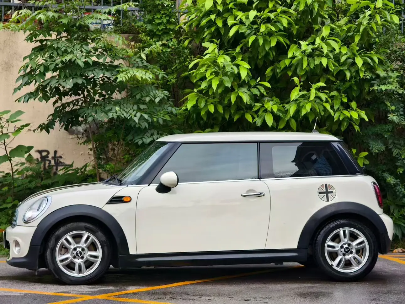 MINI MINI