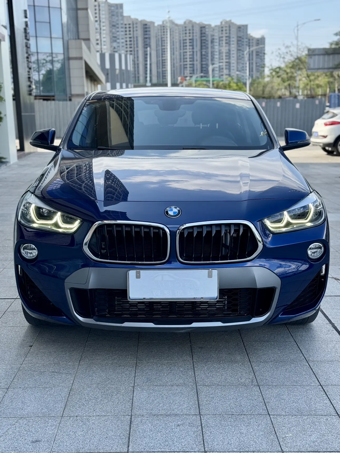 BMW X2 (imported)