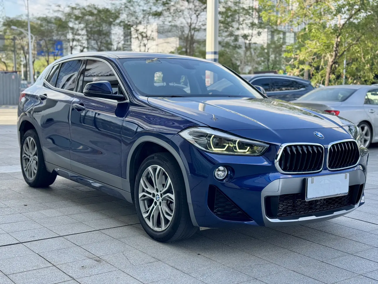 BMW X2 (imported)