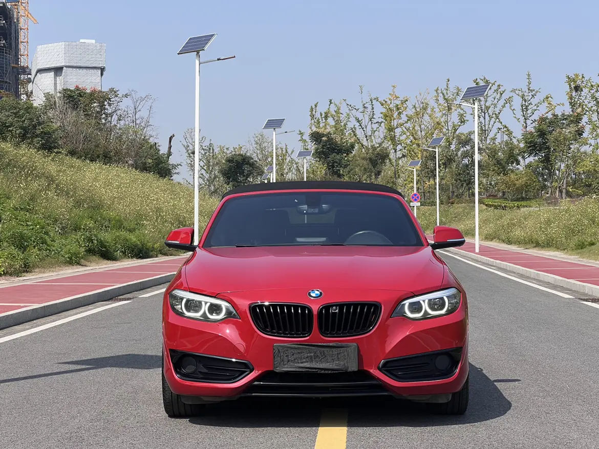 BMW 2 Series (Imported)