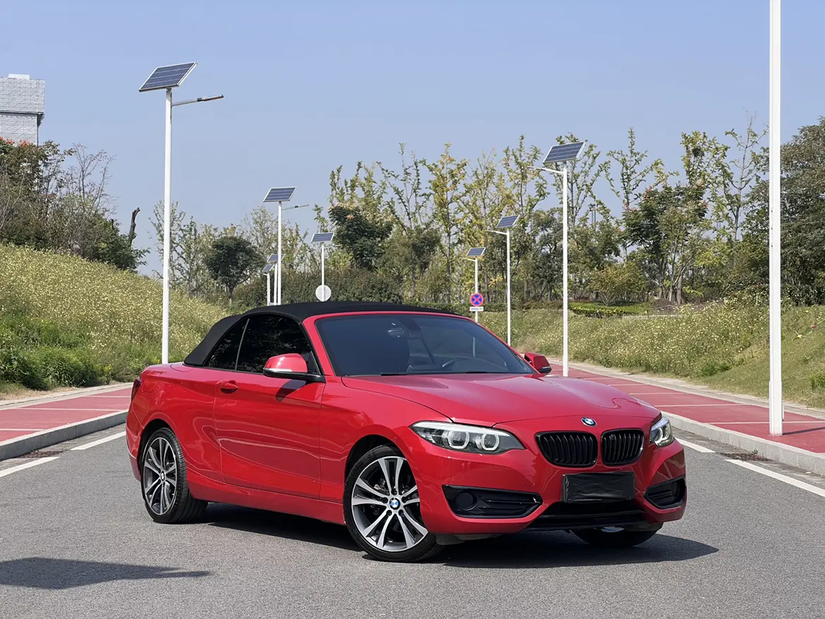 BMW 2 Series (Imported)