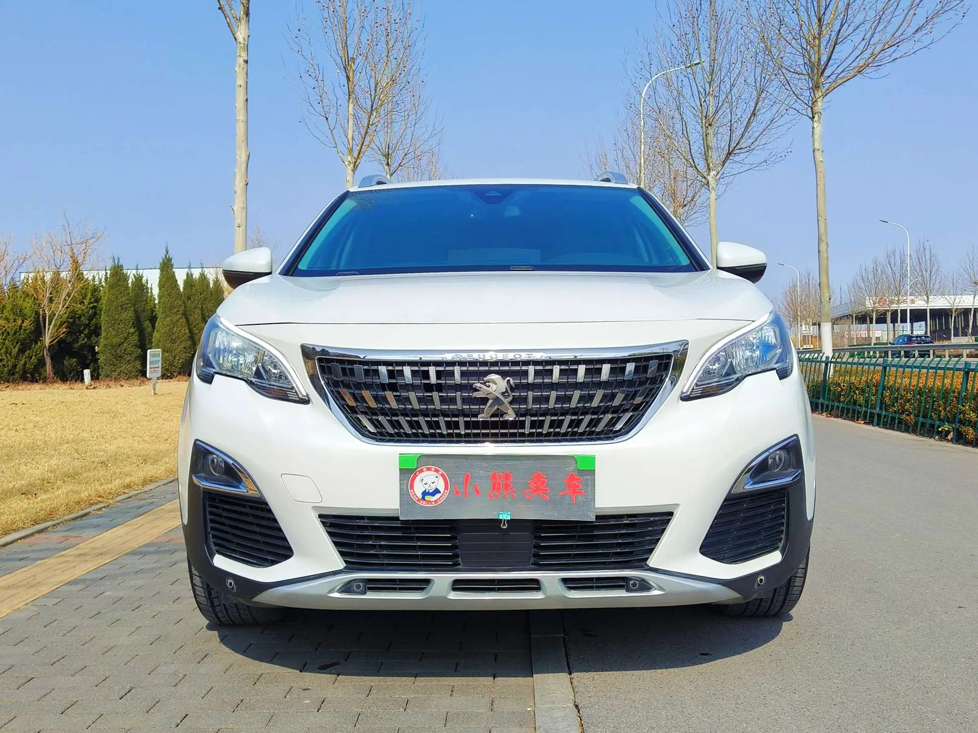 Peugeot 4008