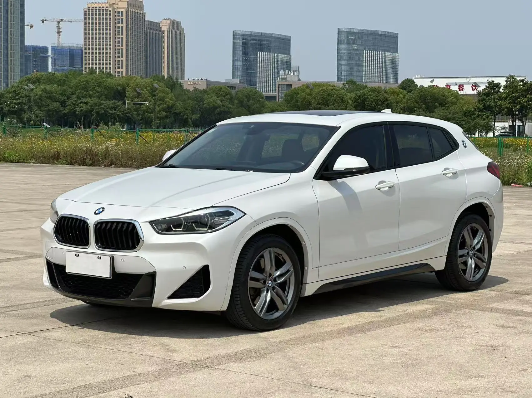 BMW X2