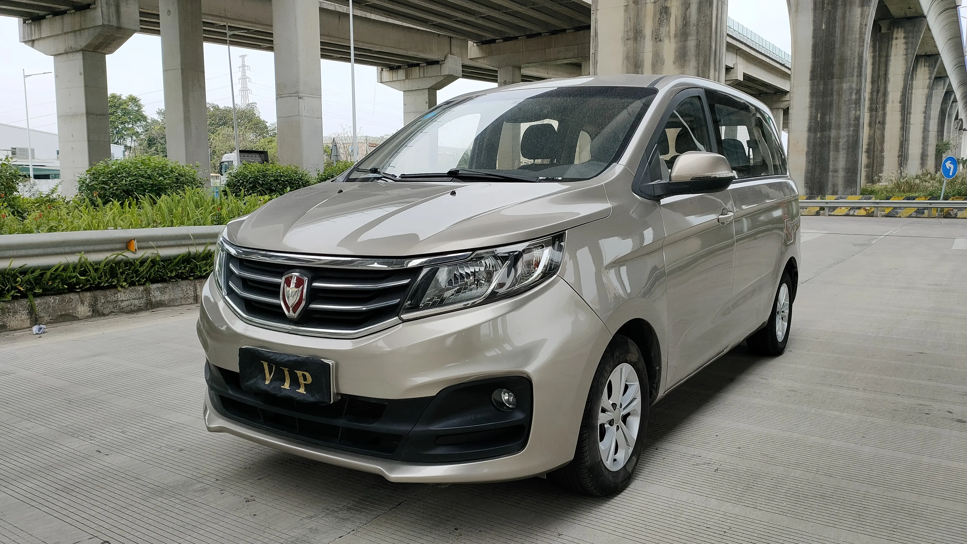 Golden cup Jinbei F50