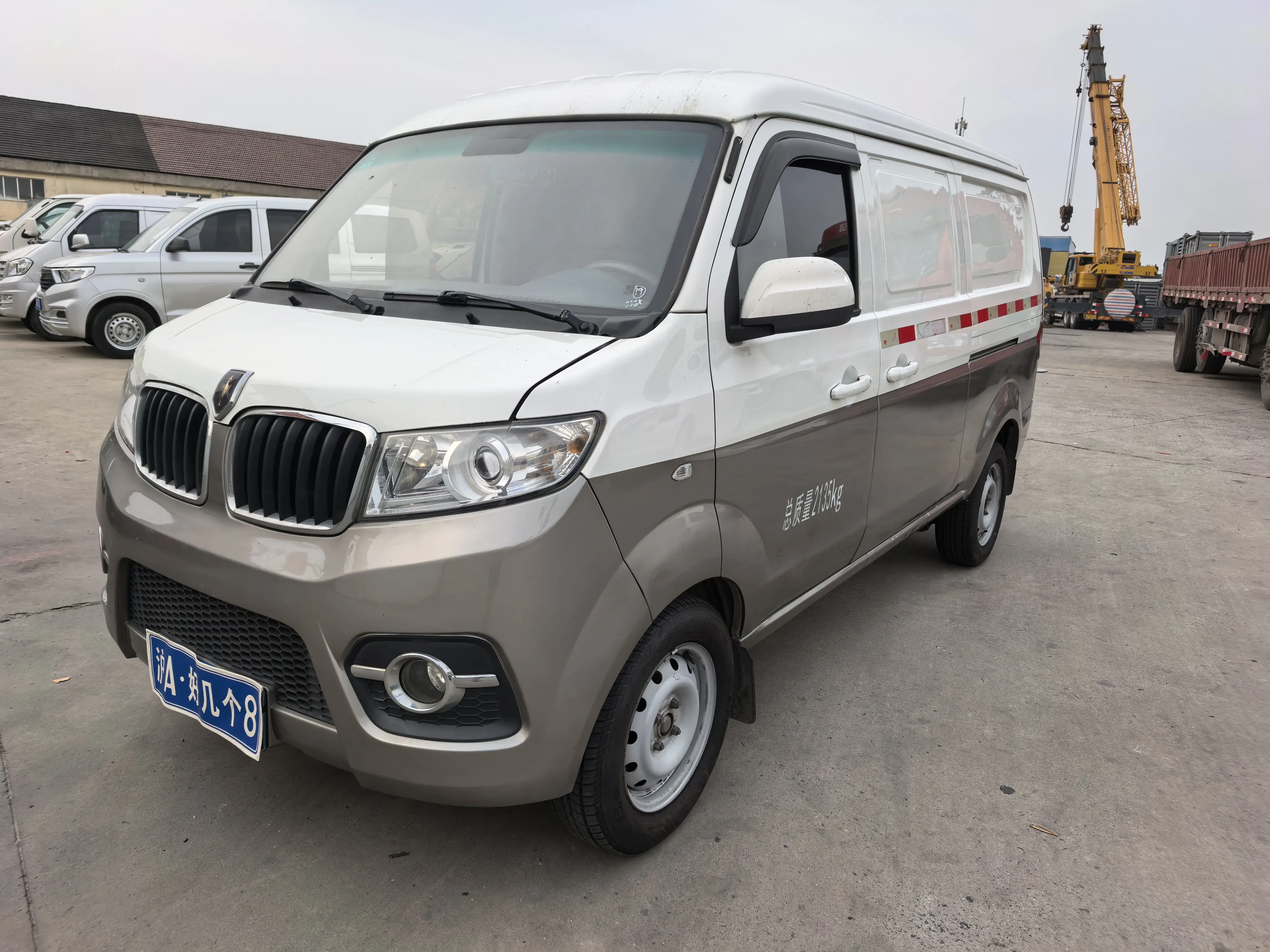 Golden cup Little sea lion X30