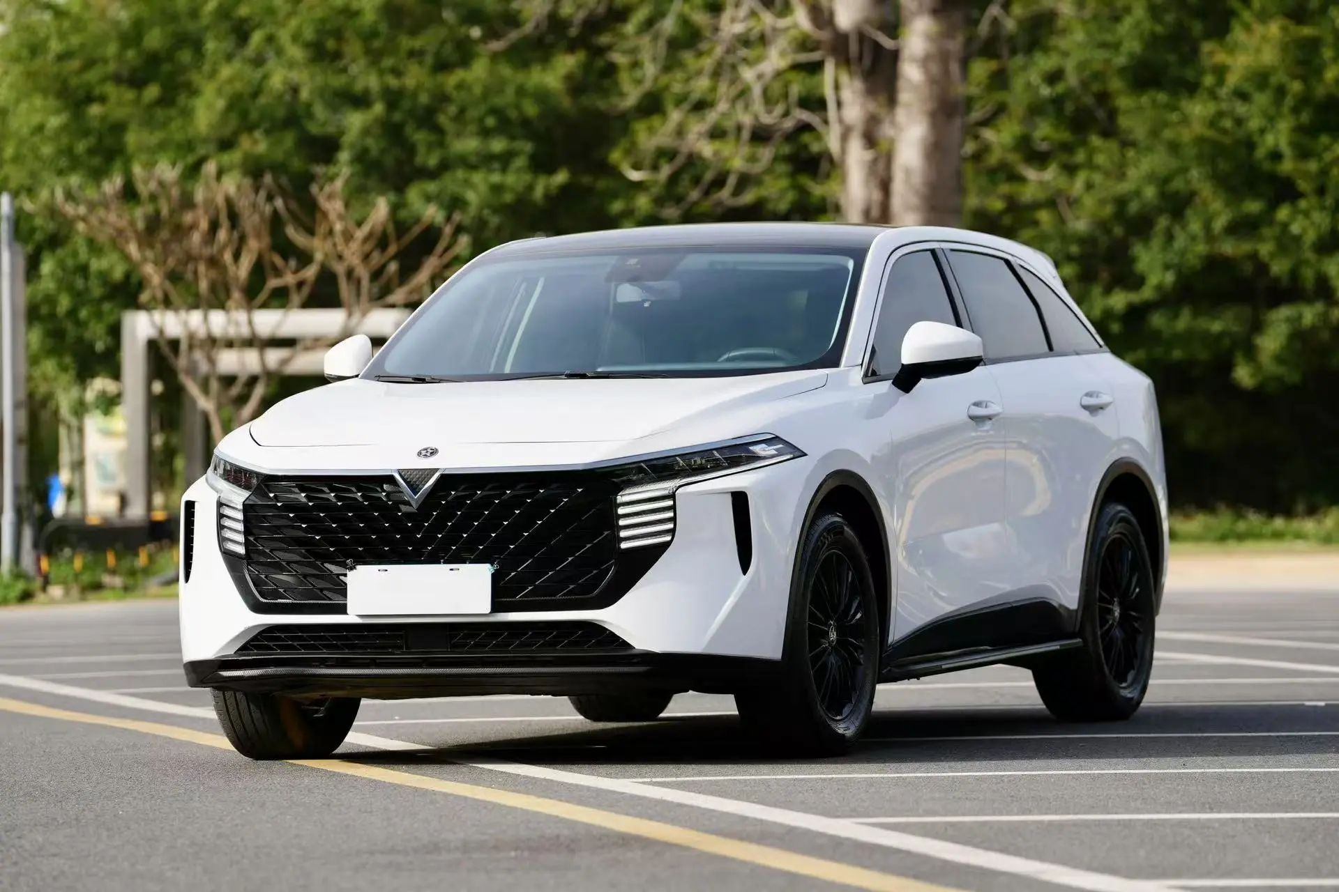 Kai Chen Venucia Big V