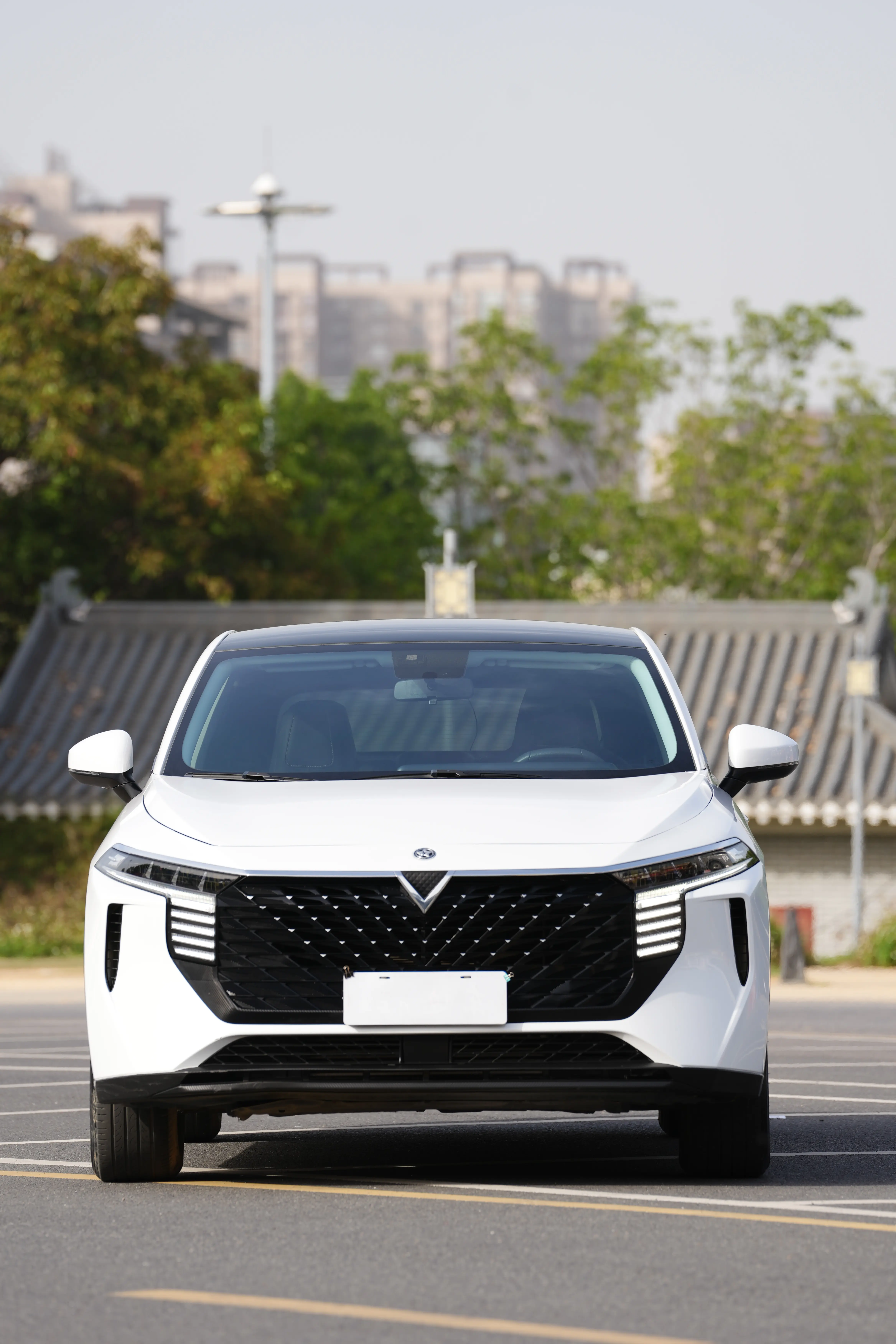 Kai Chen Venucia Big V