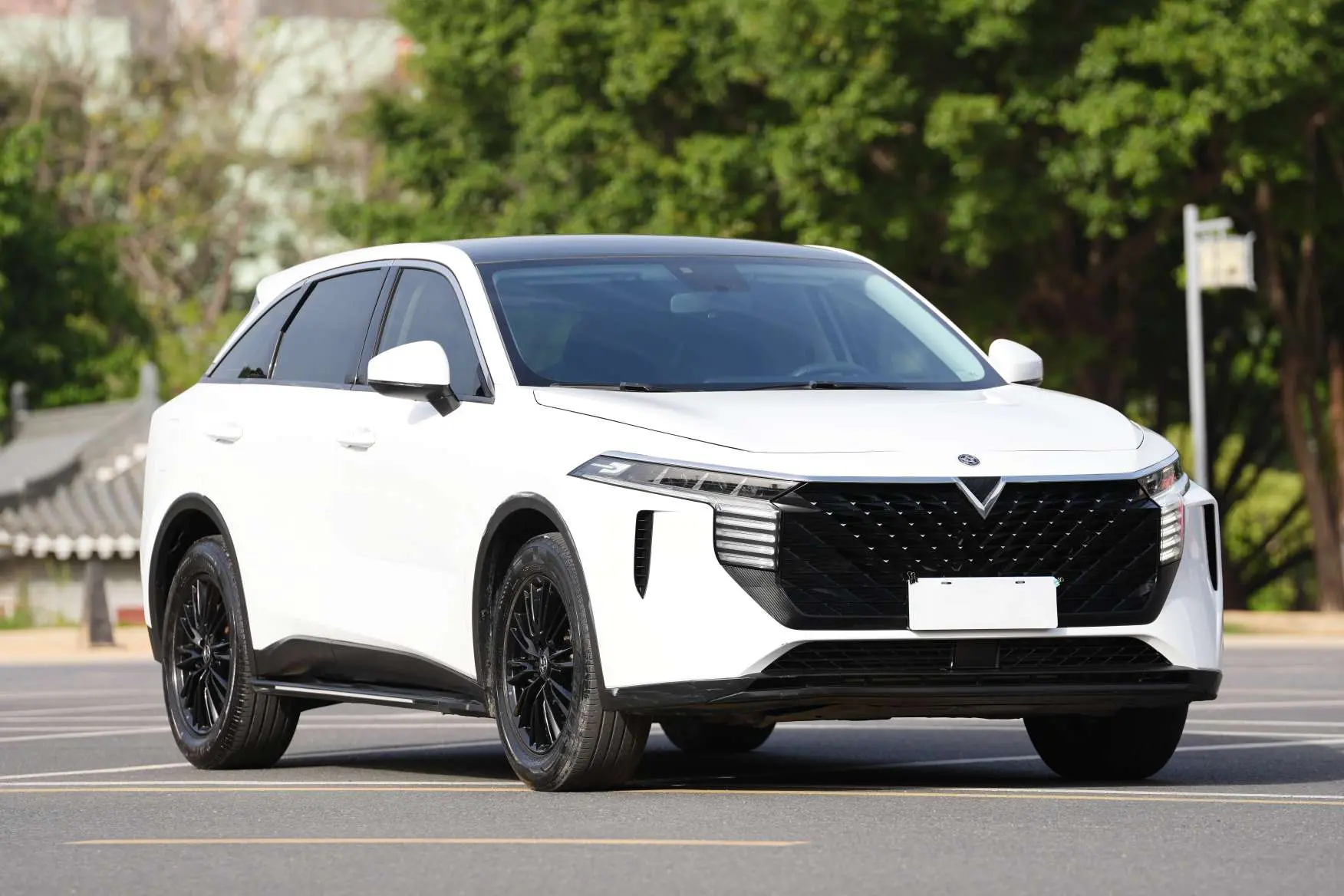 Kai Chen Venucia Big V