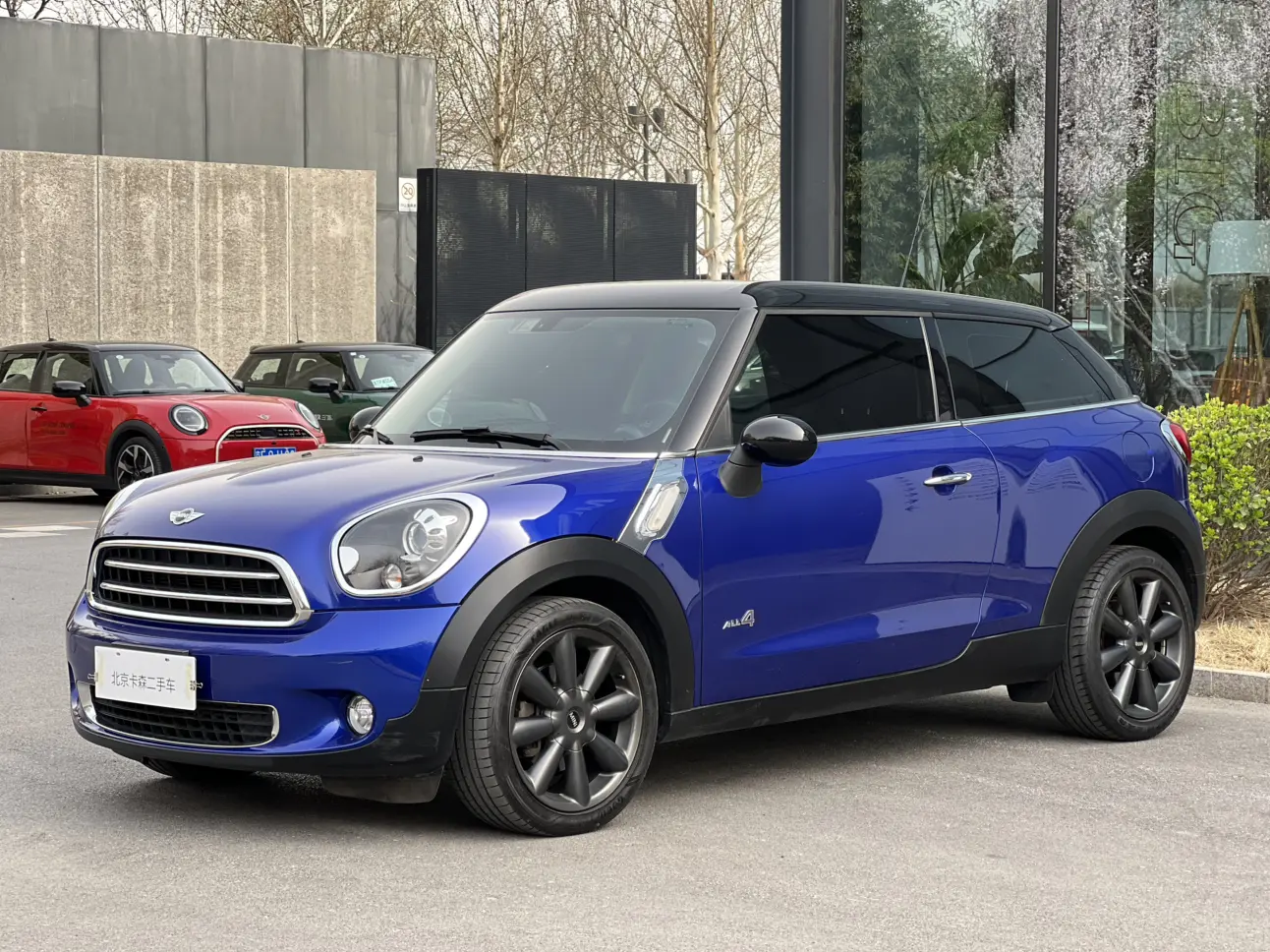 MINI PACEMAN