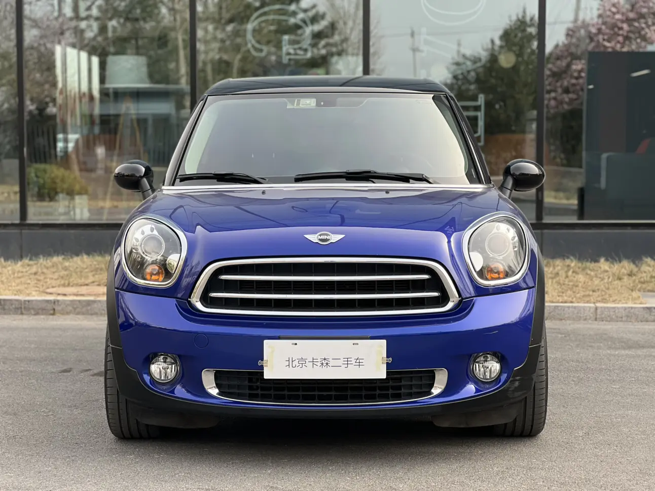 MINI PACEMAN