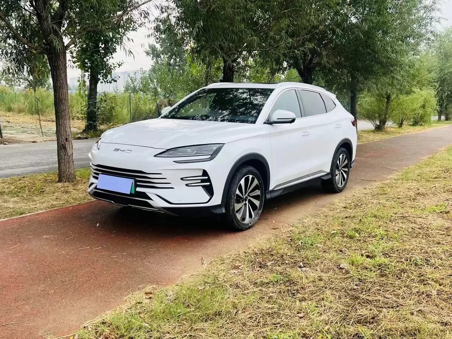 BYD Song PLUS DM