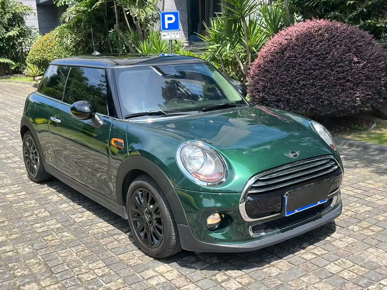 MINI MINI
