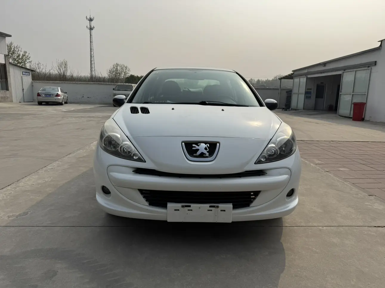 Peugeot 207