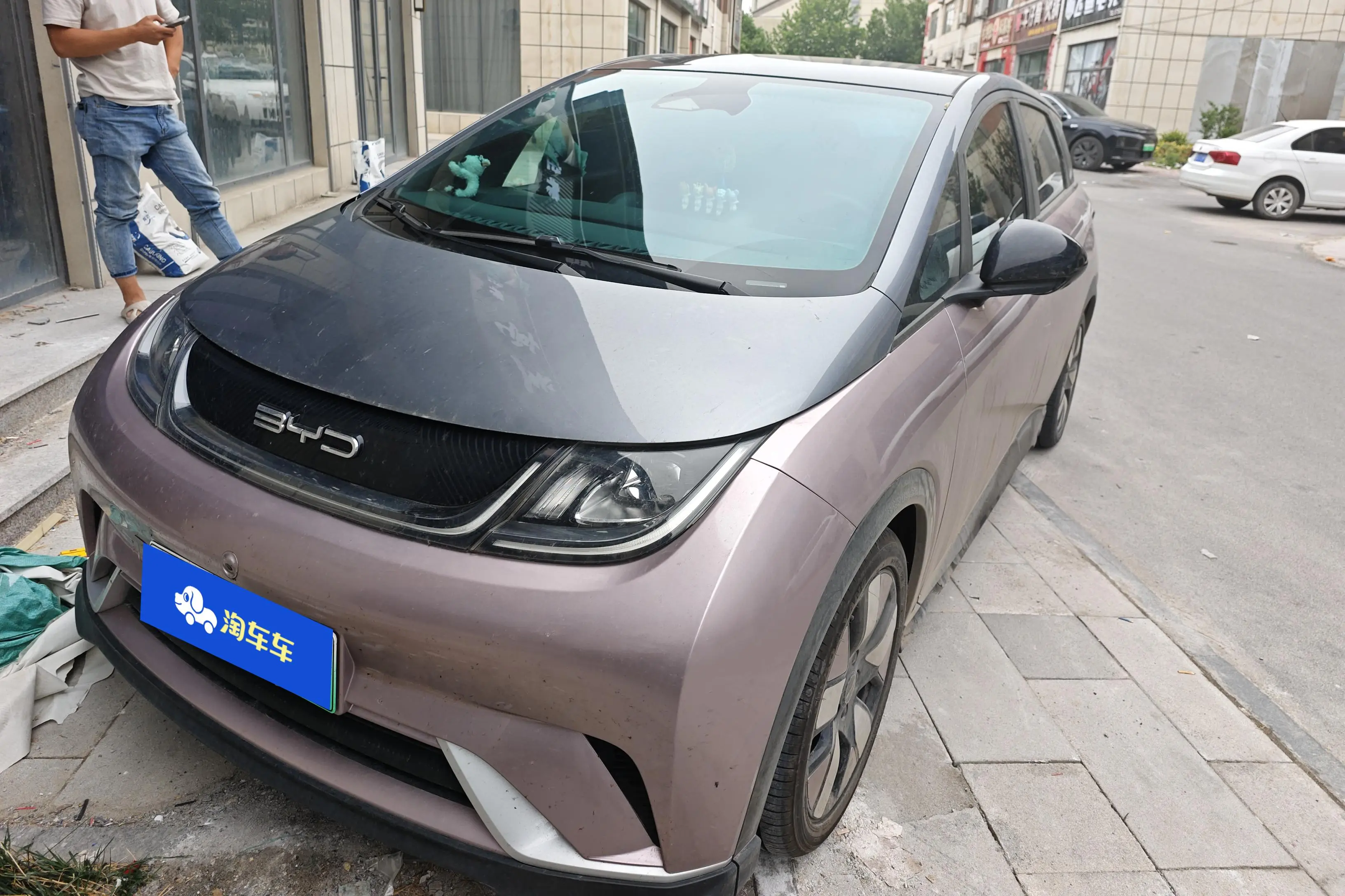 BYD Dolphin