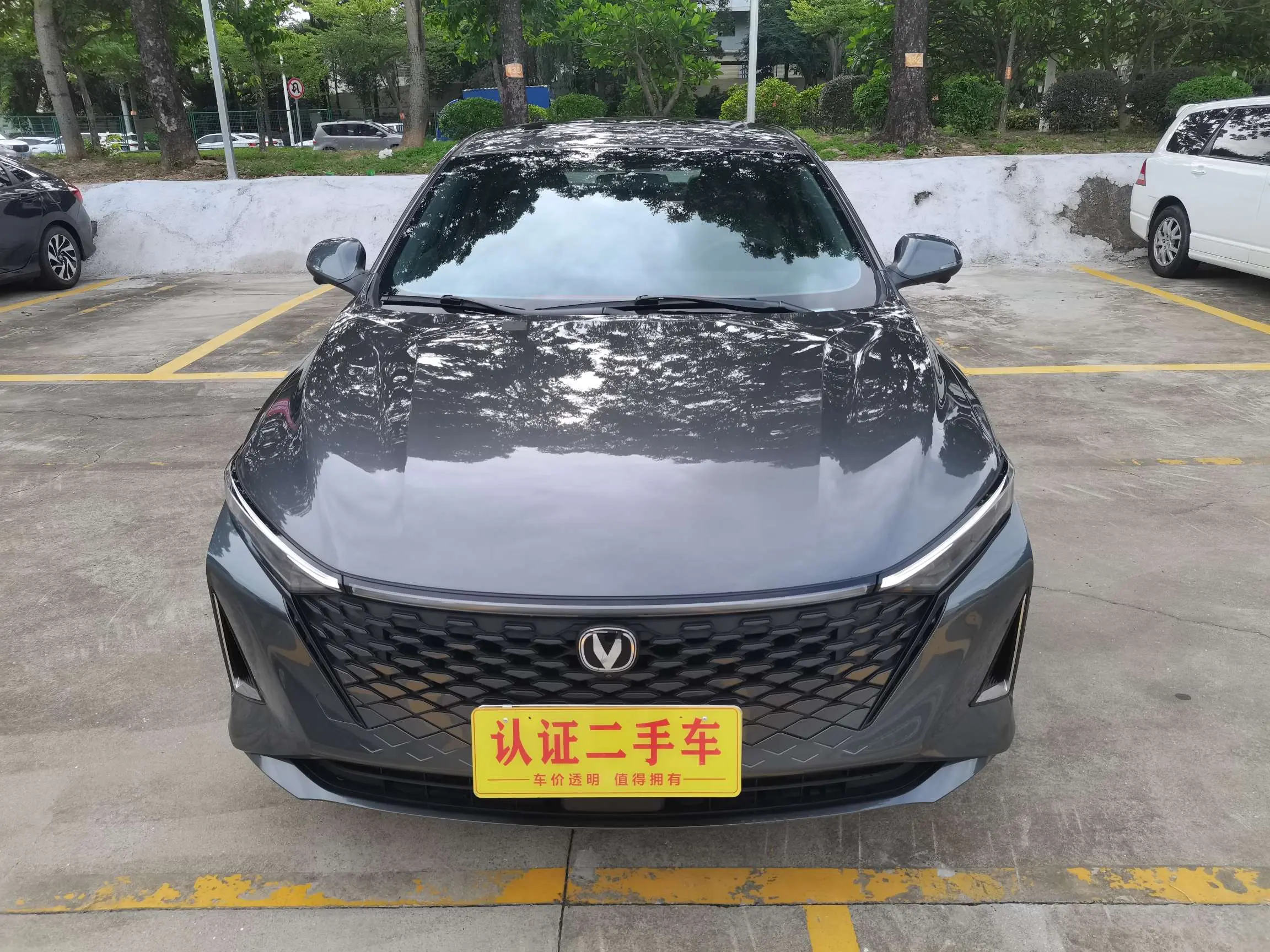 Changan Ruicheng PLUS  из Китая