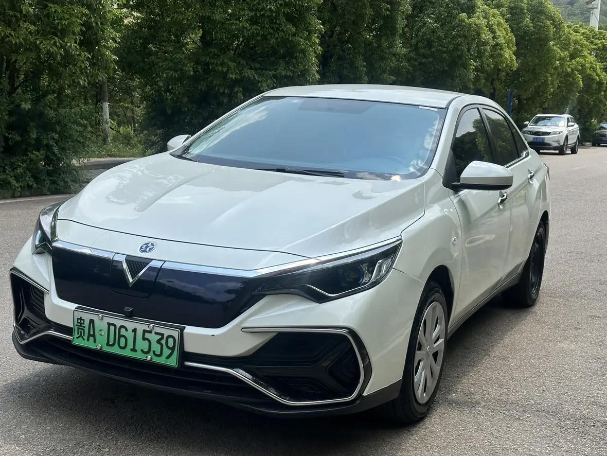 Kai Chen Venucia D60 EV