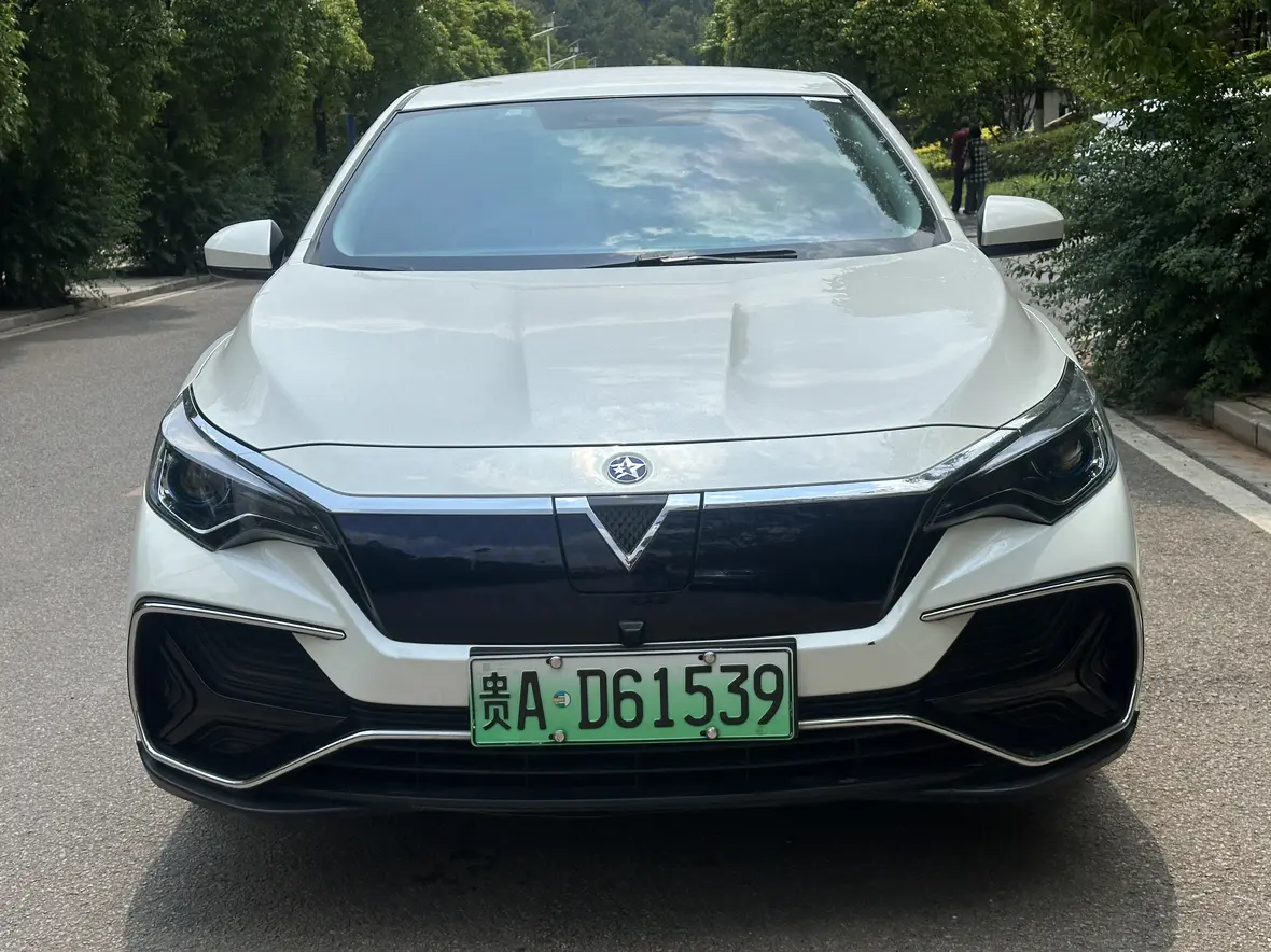 Kai Chen Venucia D60 EV