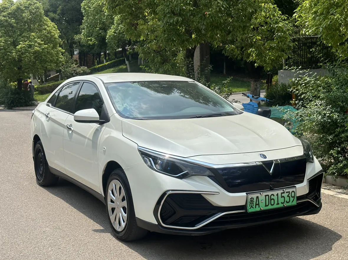 Kai Chen Venucia D60 EV