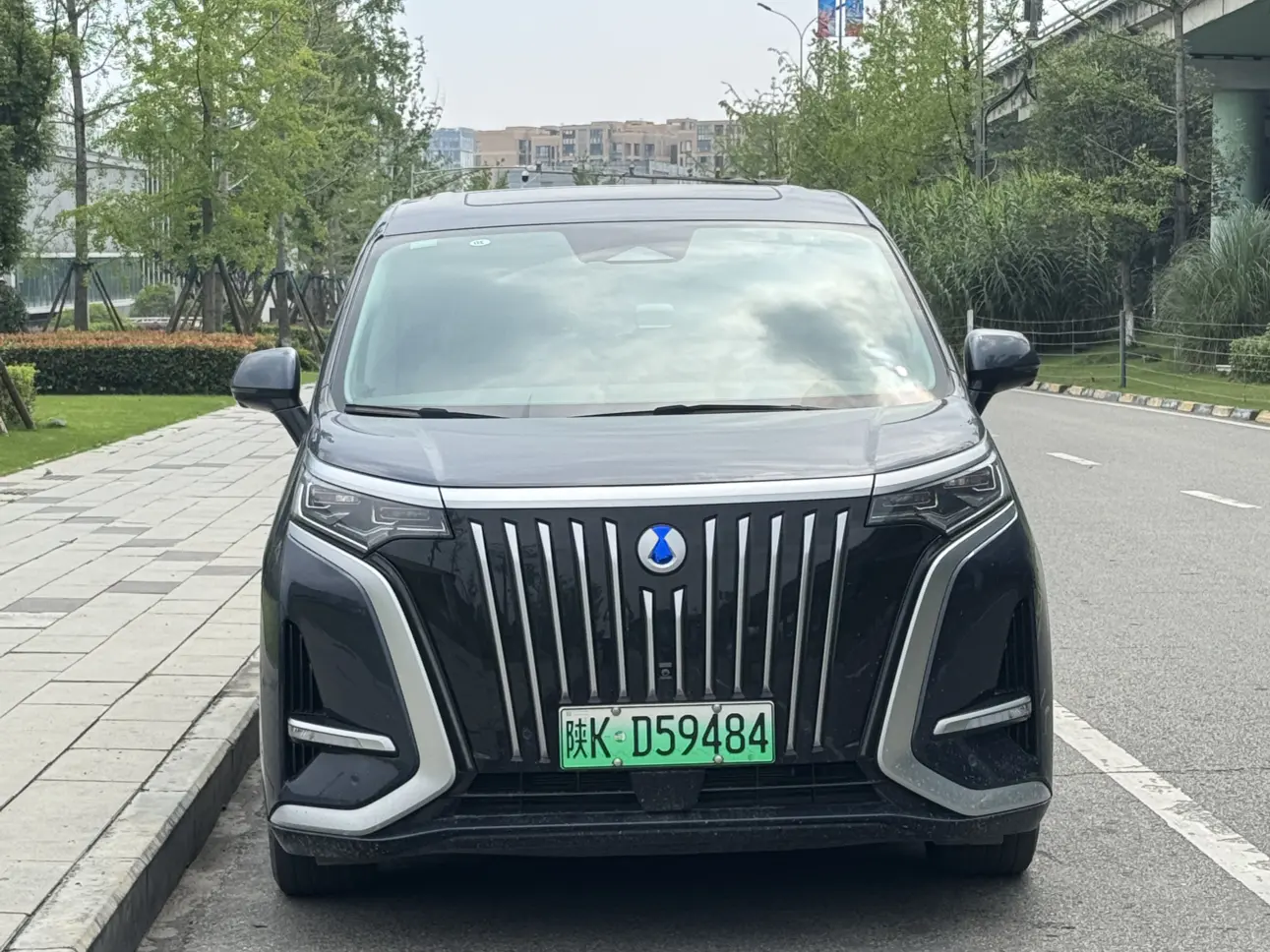 Denza D9 EV  из Китая