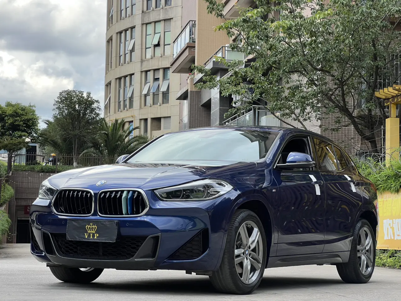 BMW X2