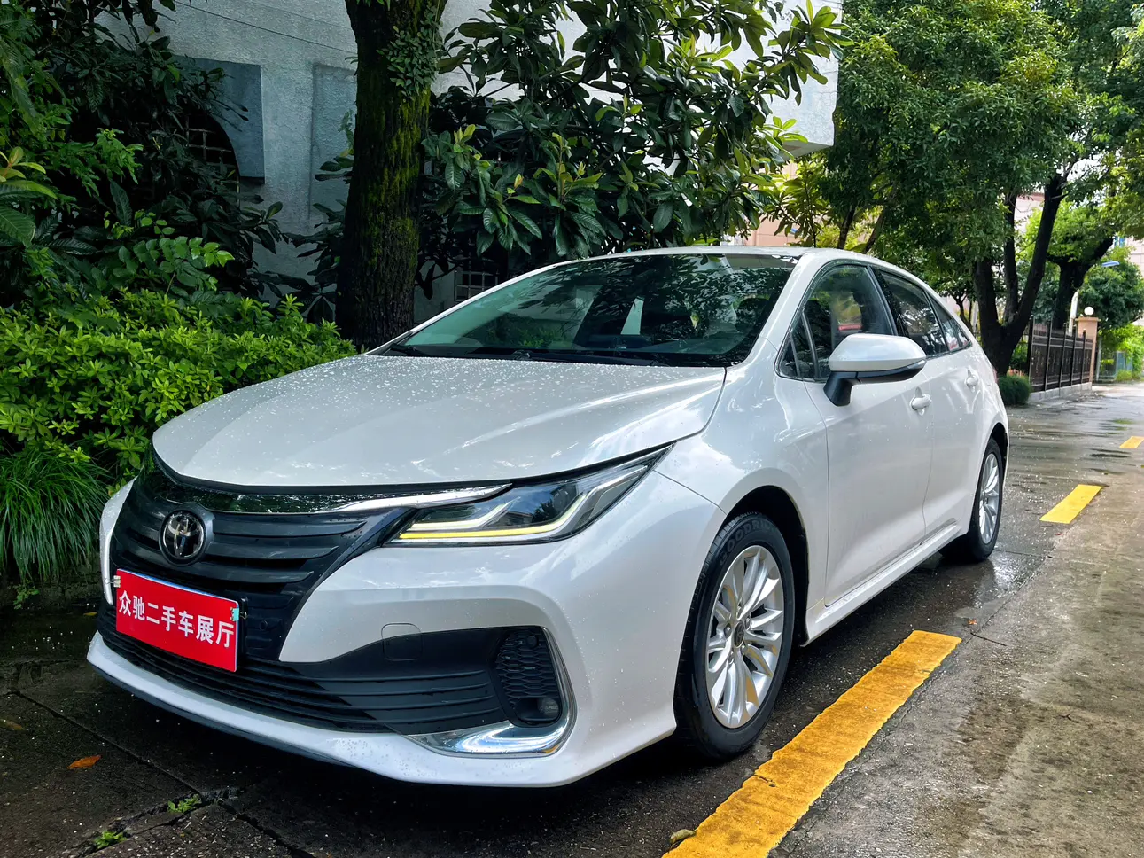 Toyota Asiatic lion  из Китая