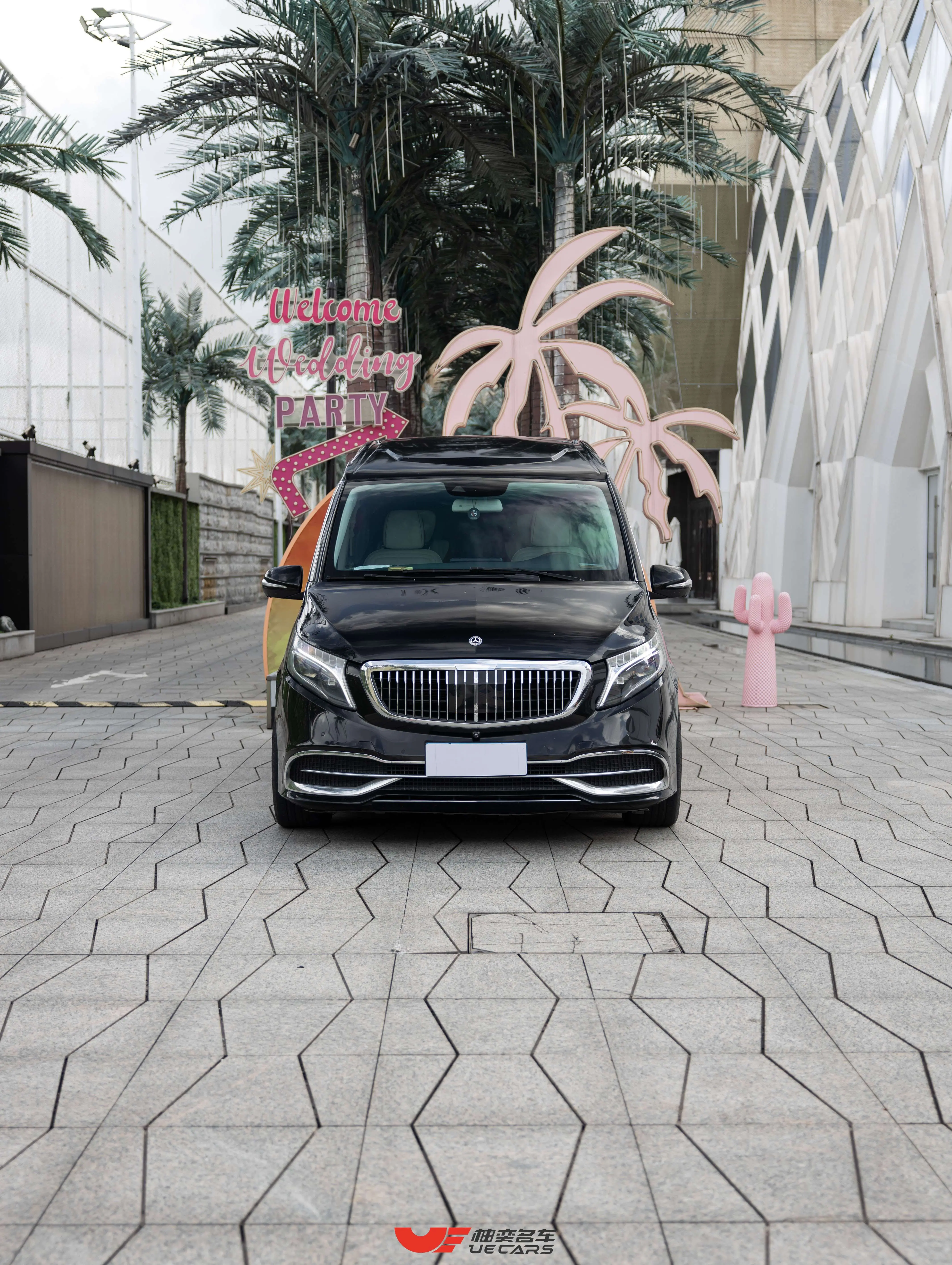 Mercedes-Benz Mercedes Benz V Class