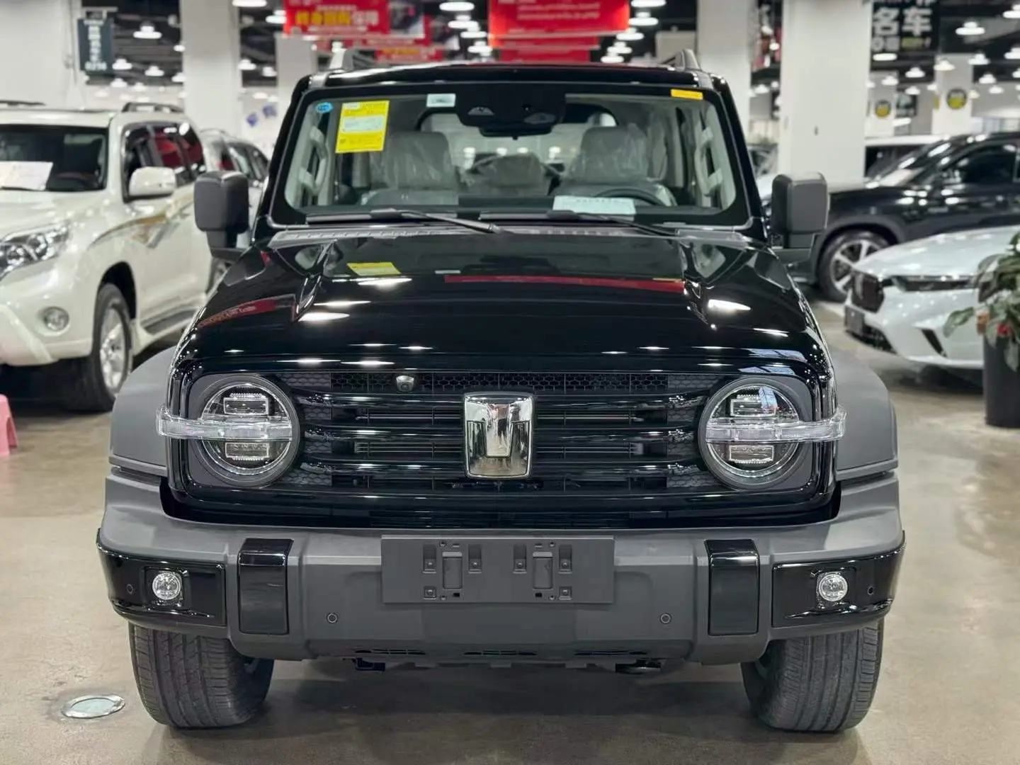 Tank 300 Hi4-T  из Китая