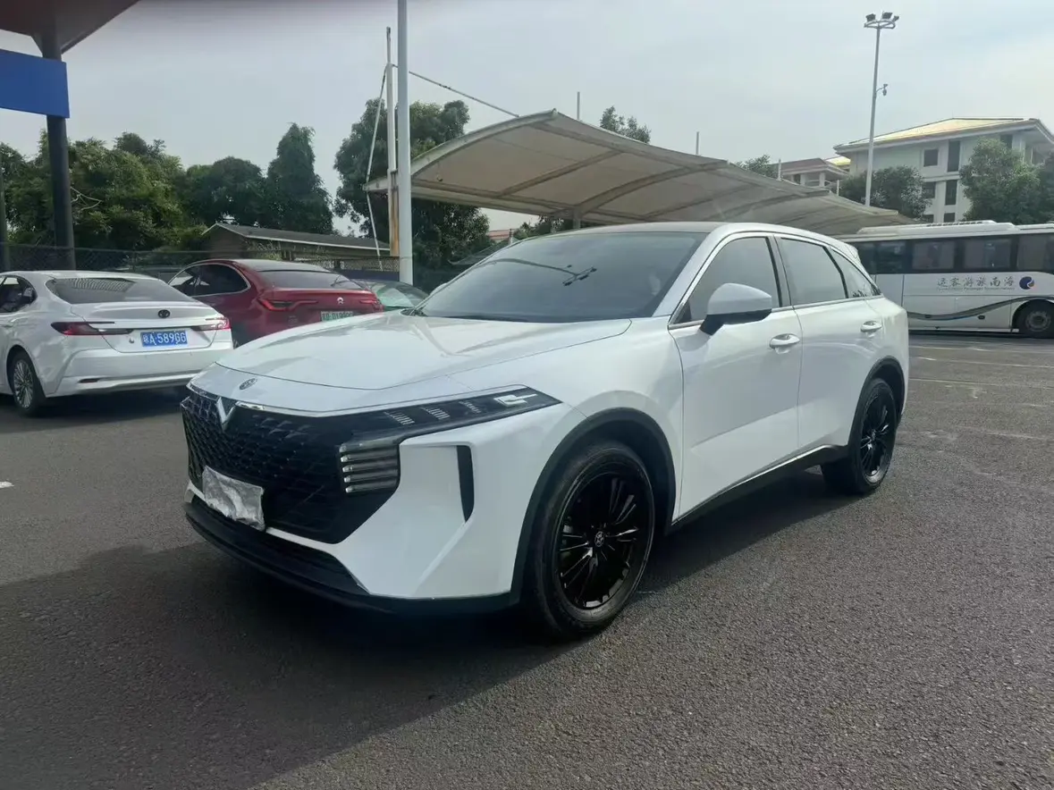 Kai Chen Venucia Big V