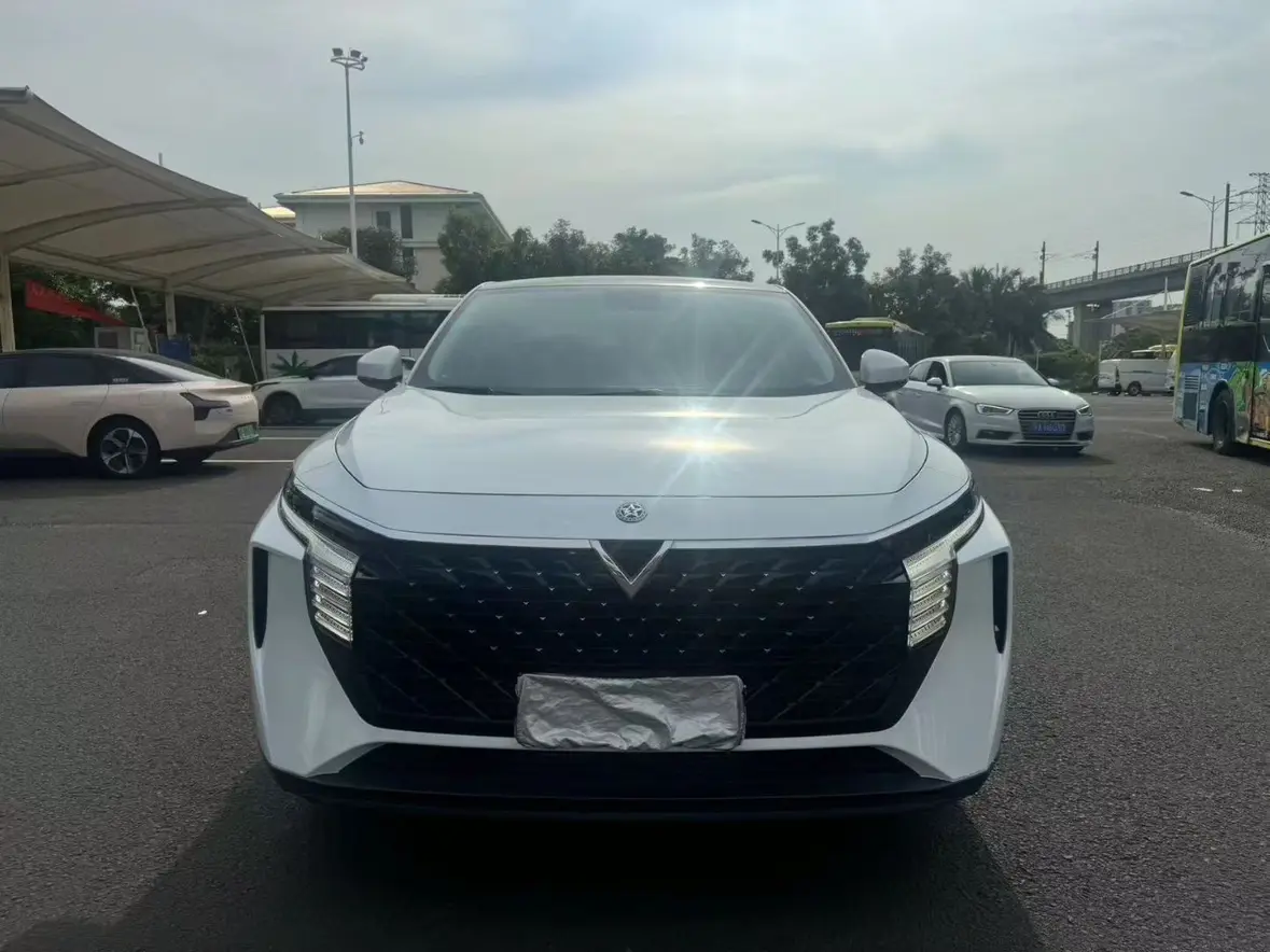 Kai Chen Venucia Big V