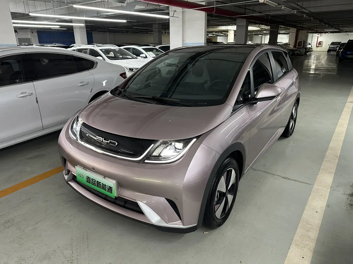 BYD Dolphin  из Китая
