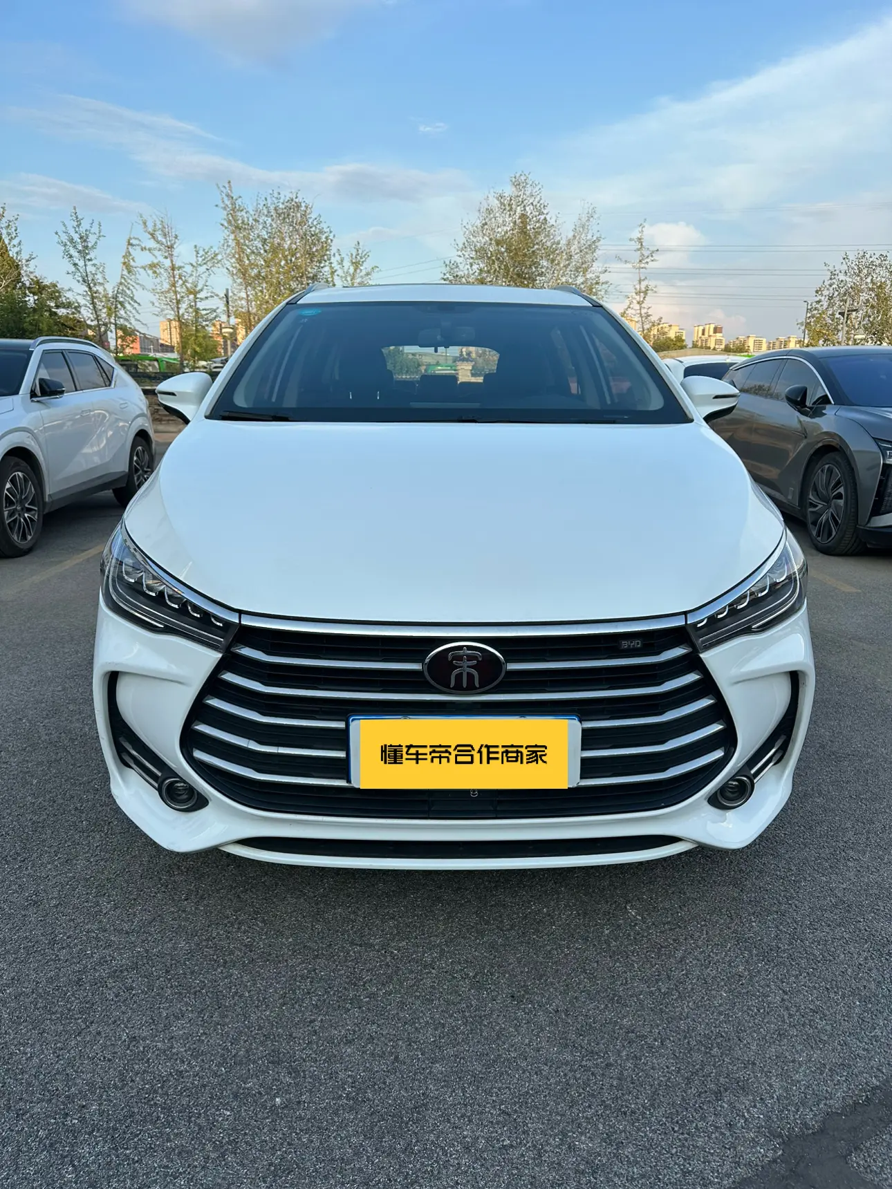 BYD Song MAX  из Китая