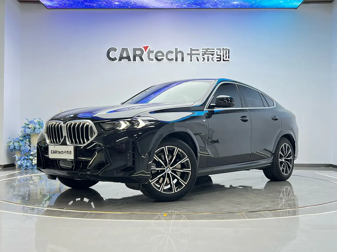 BMW X6