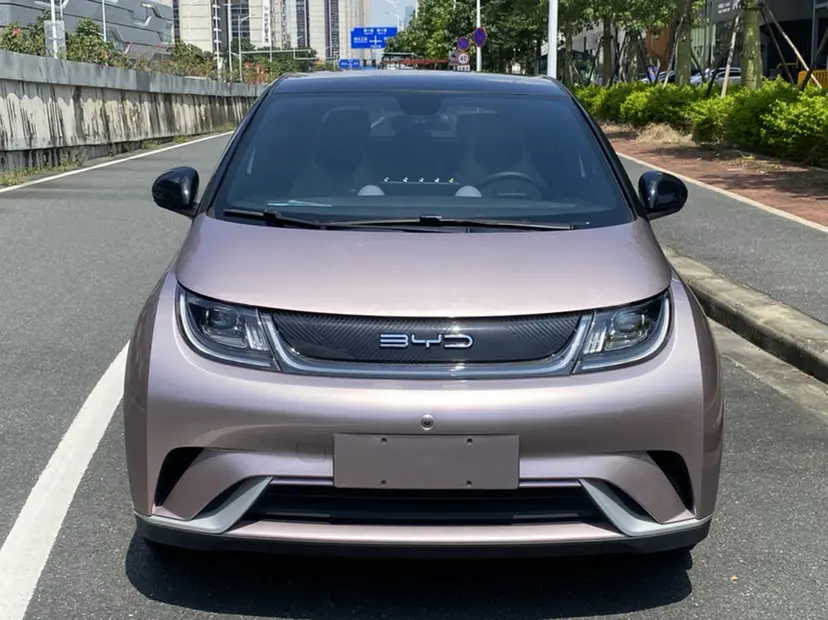 BYD Dolphin  из Китая