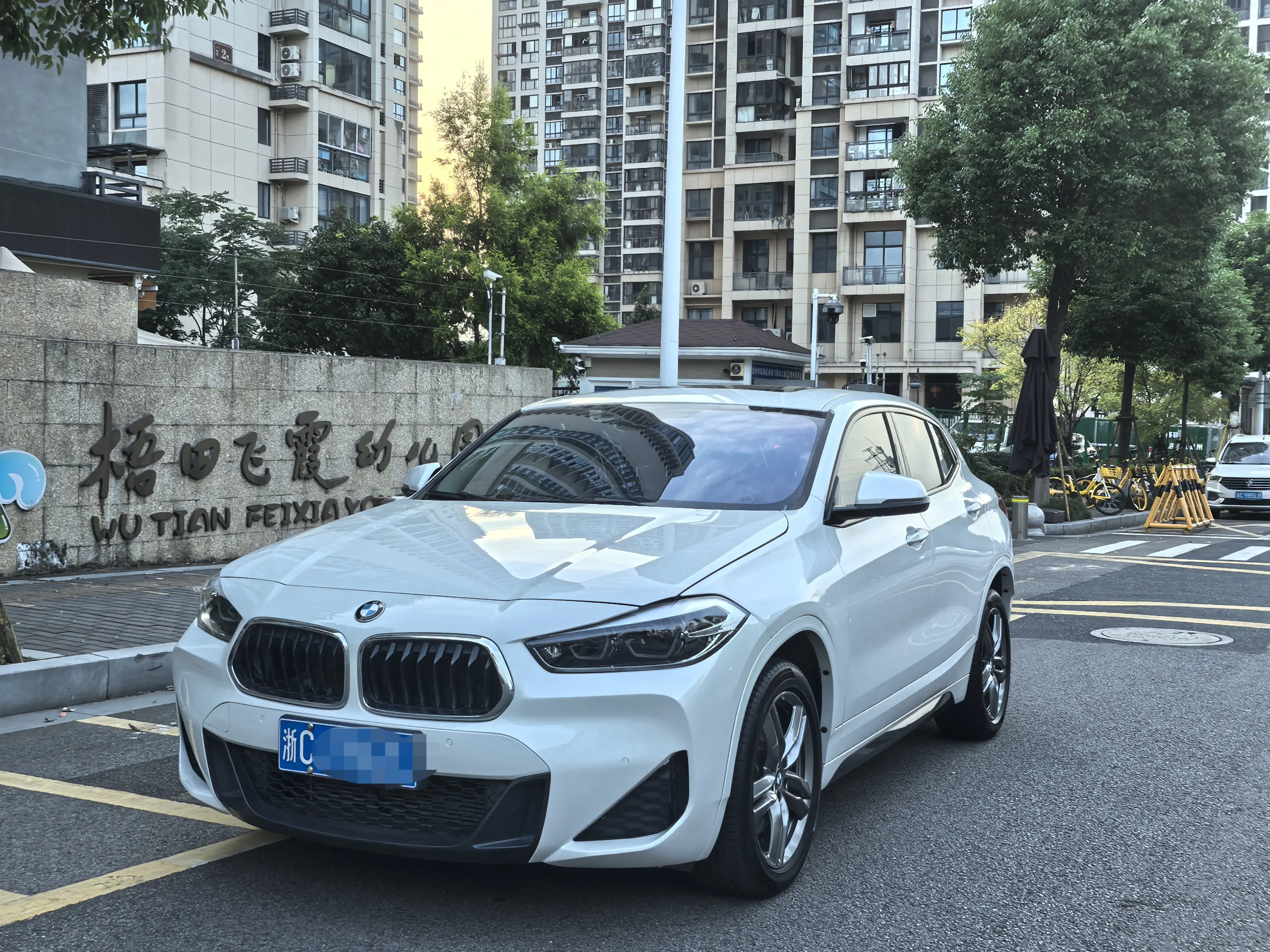 BMW X2