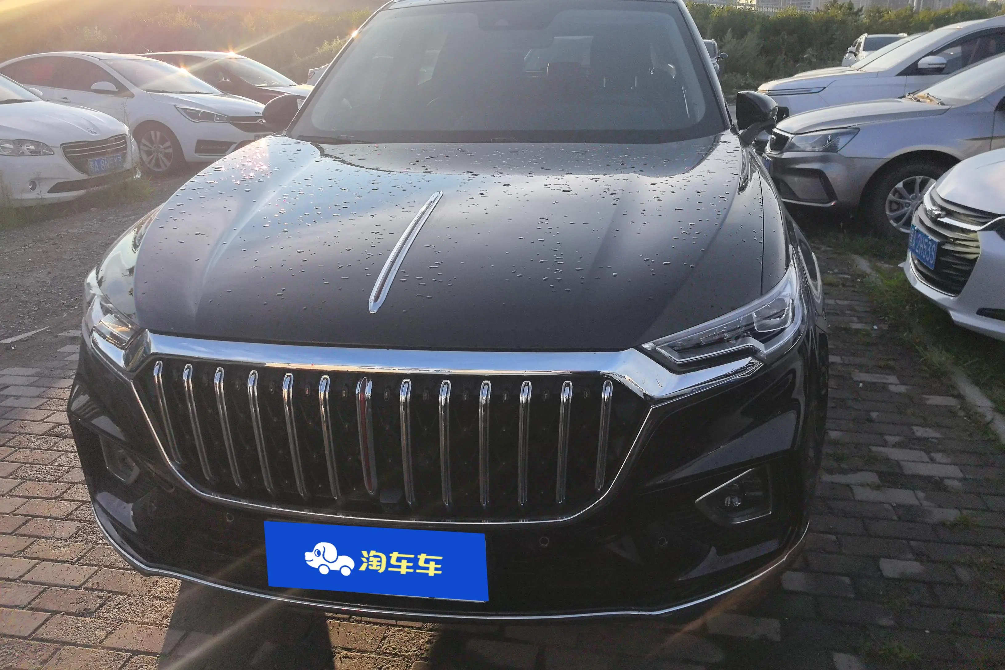 Hongqi HS5  из Китая