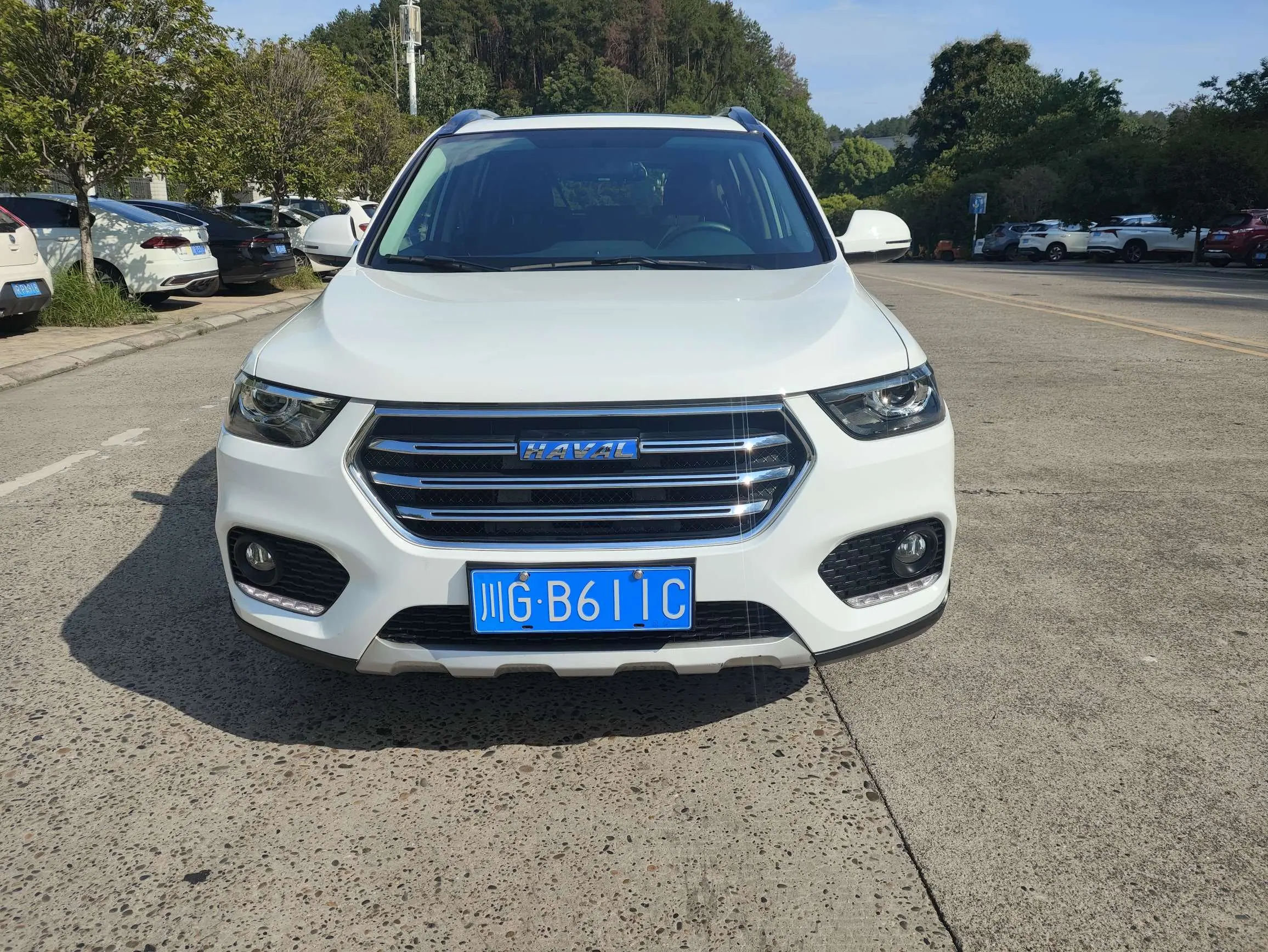 Haval H6