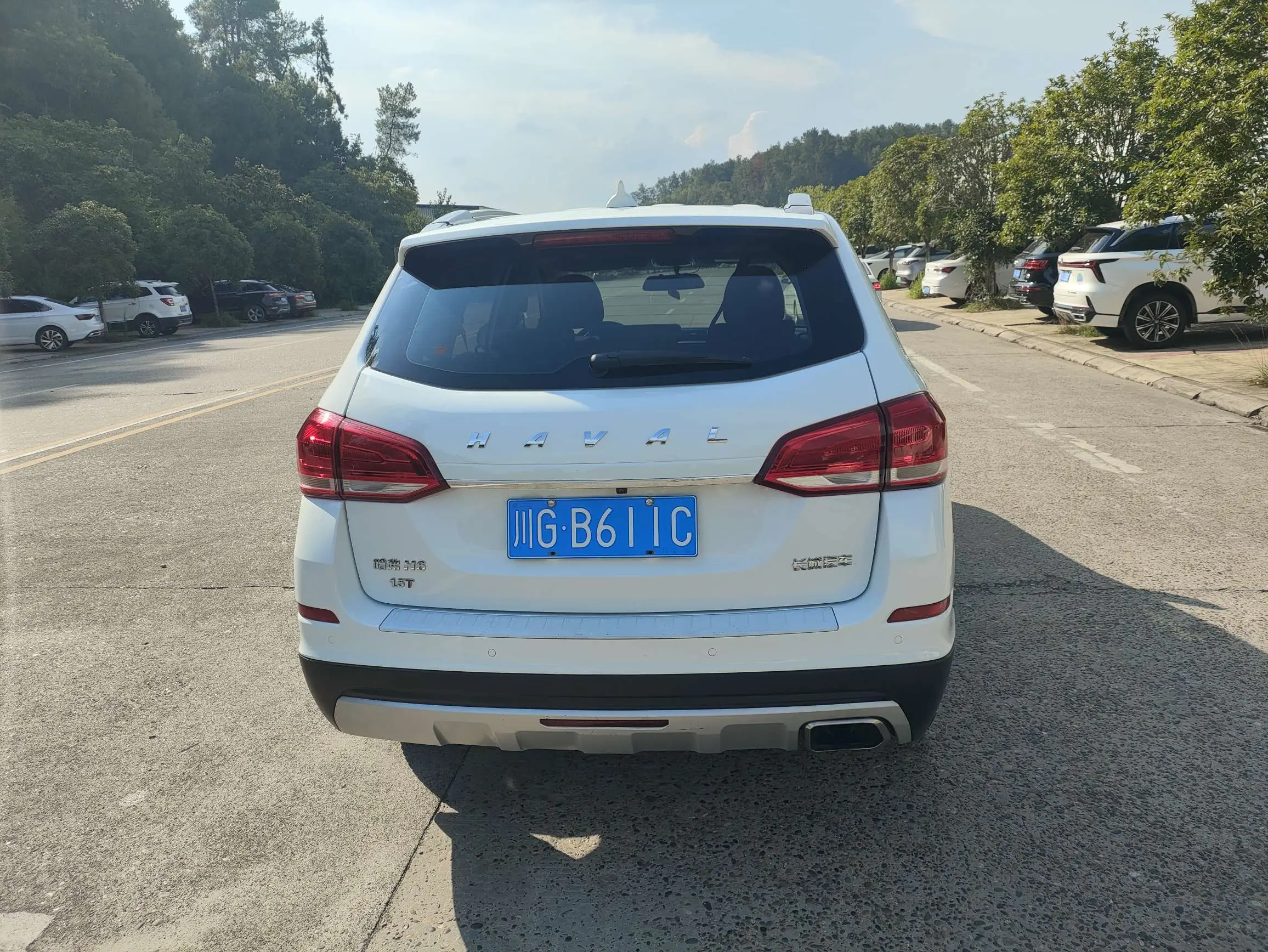 Haval H6