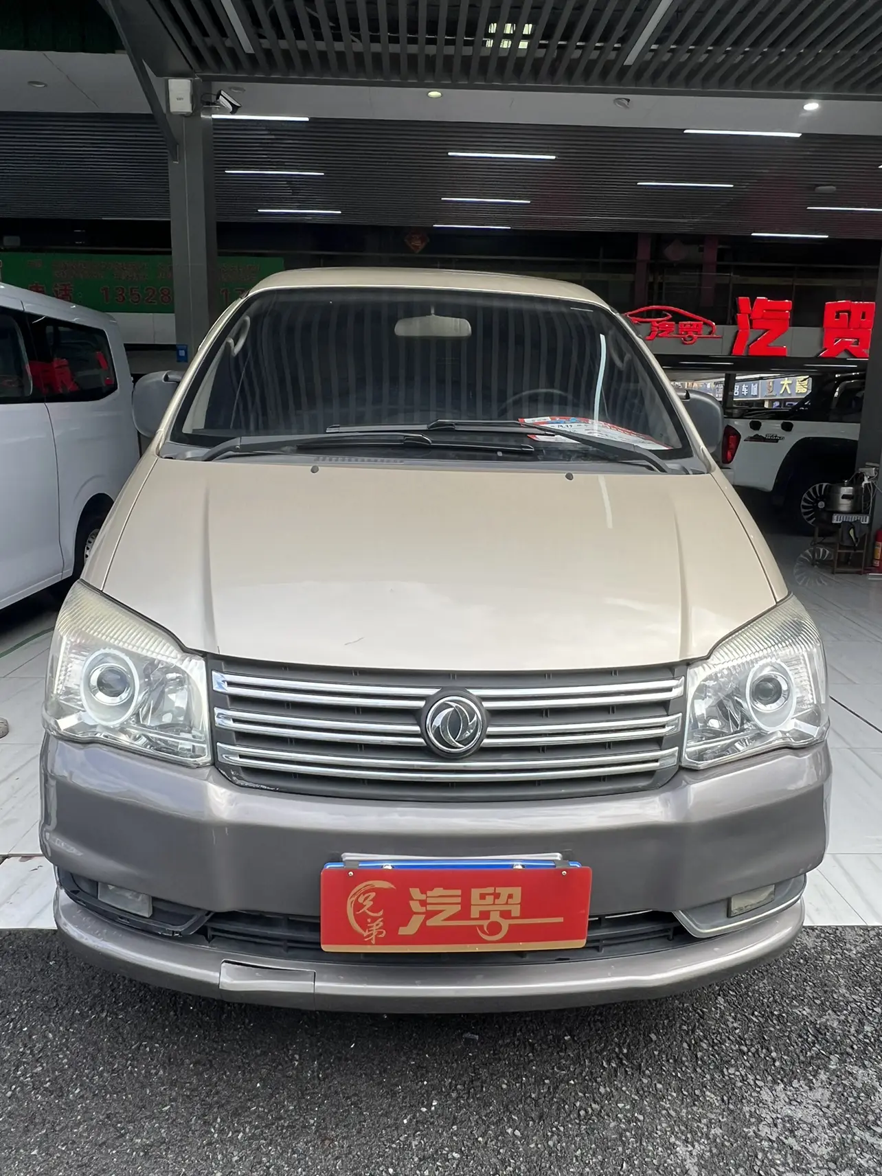 Forthing Lingzhi  из Китая