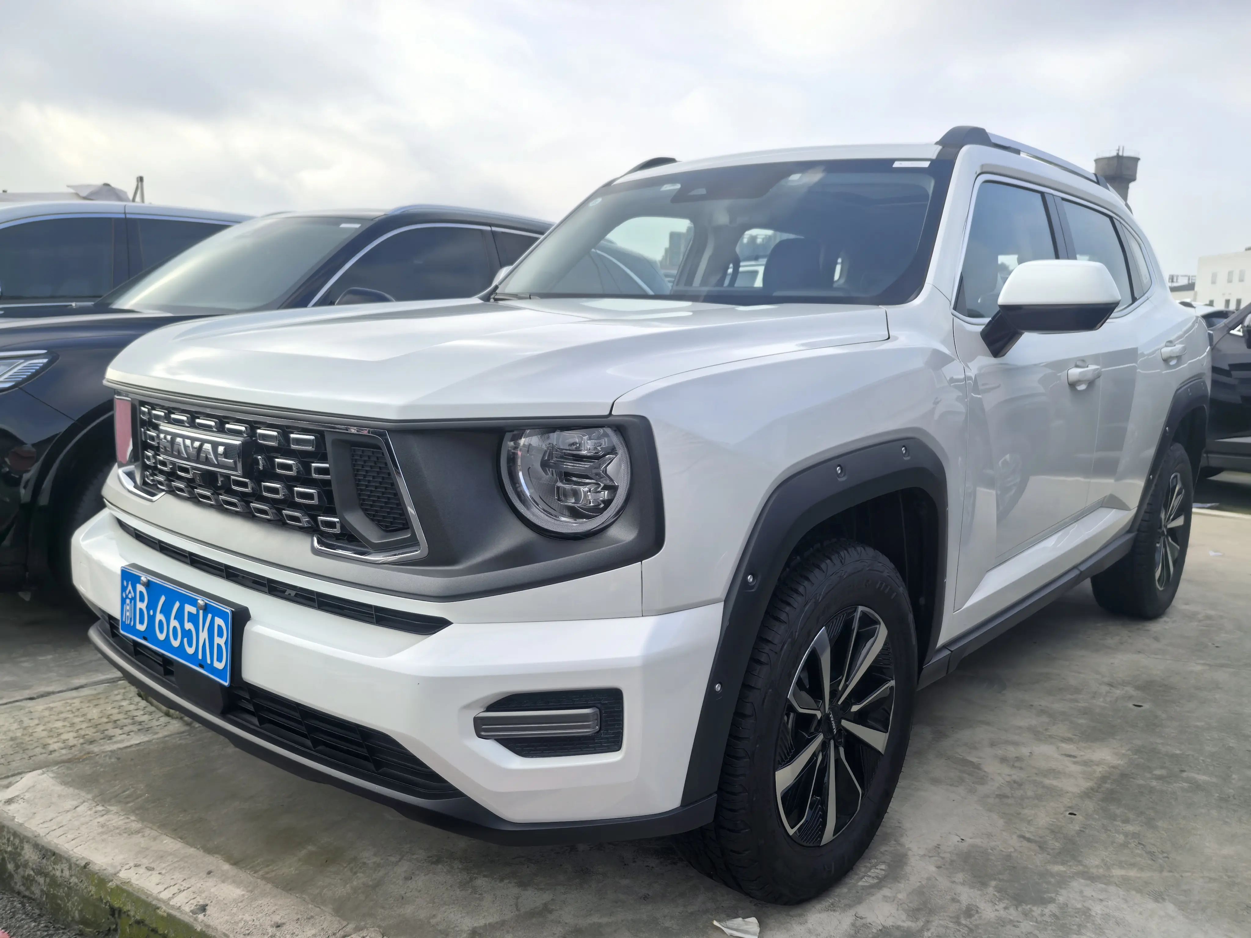 Haval second generation big dog