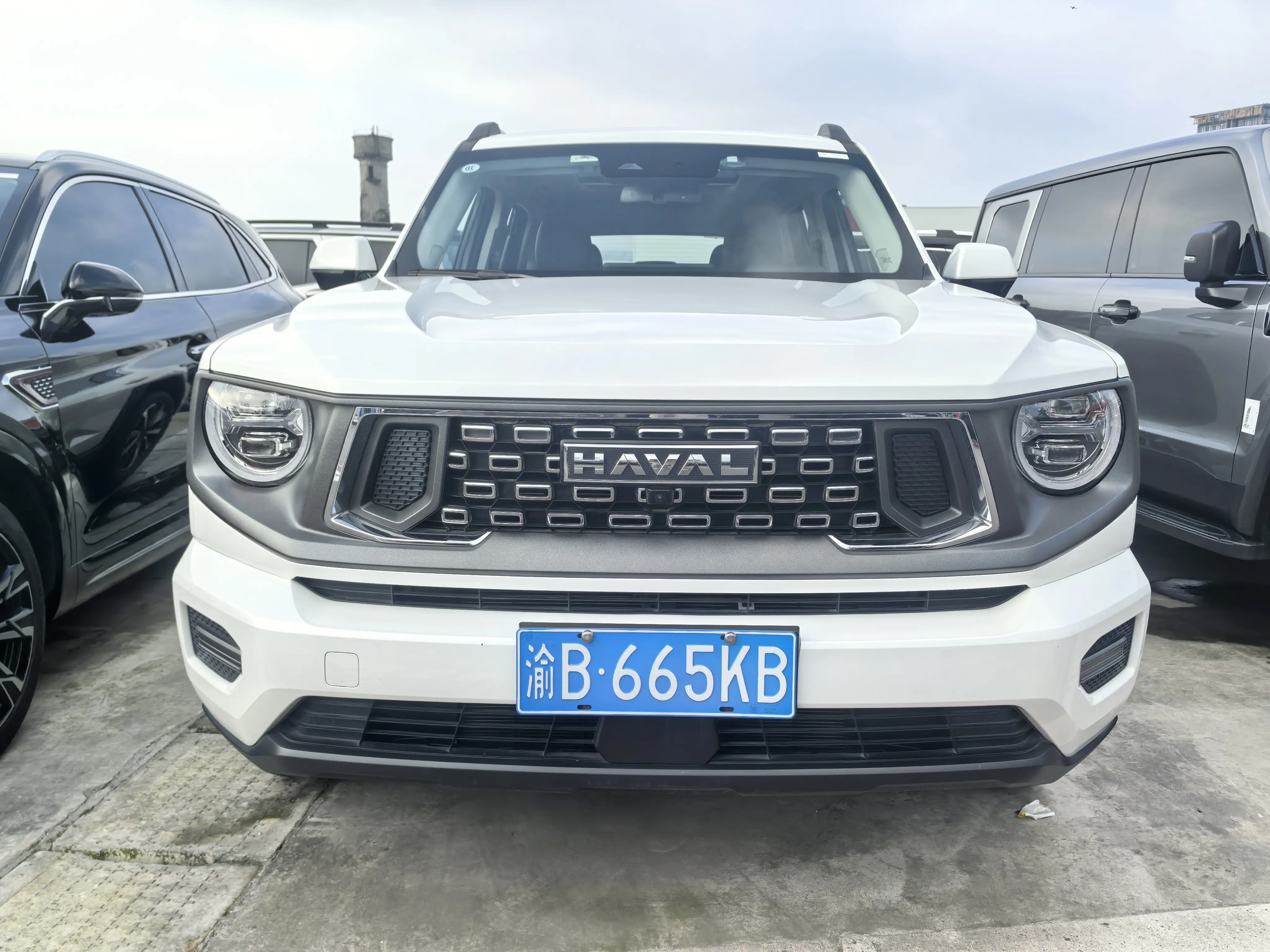 Haval second generation big dog