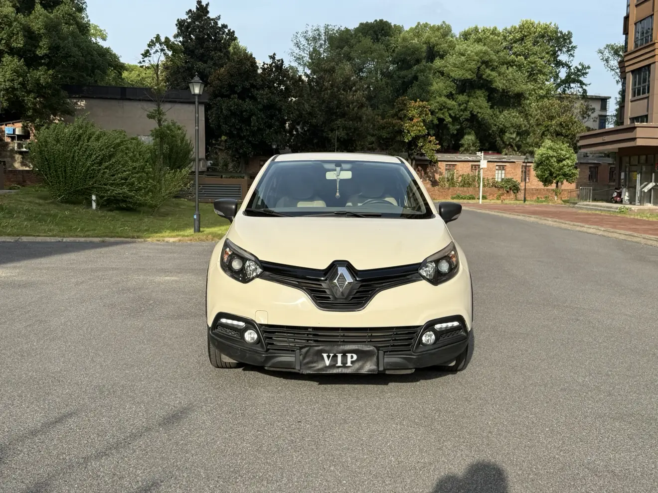 Renault Cardboard (imported)