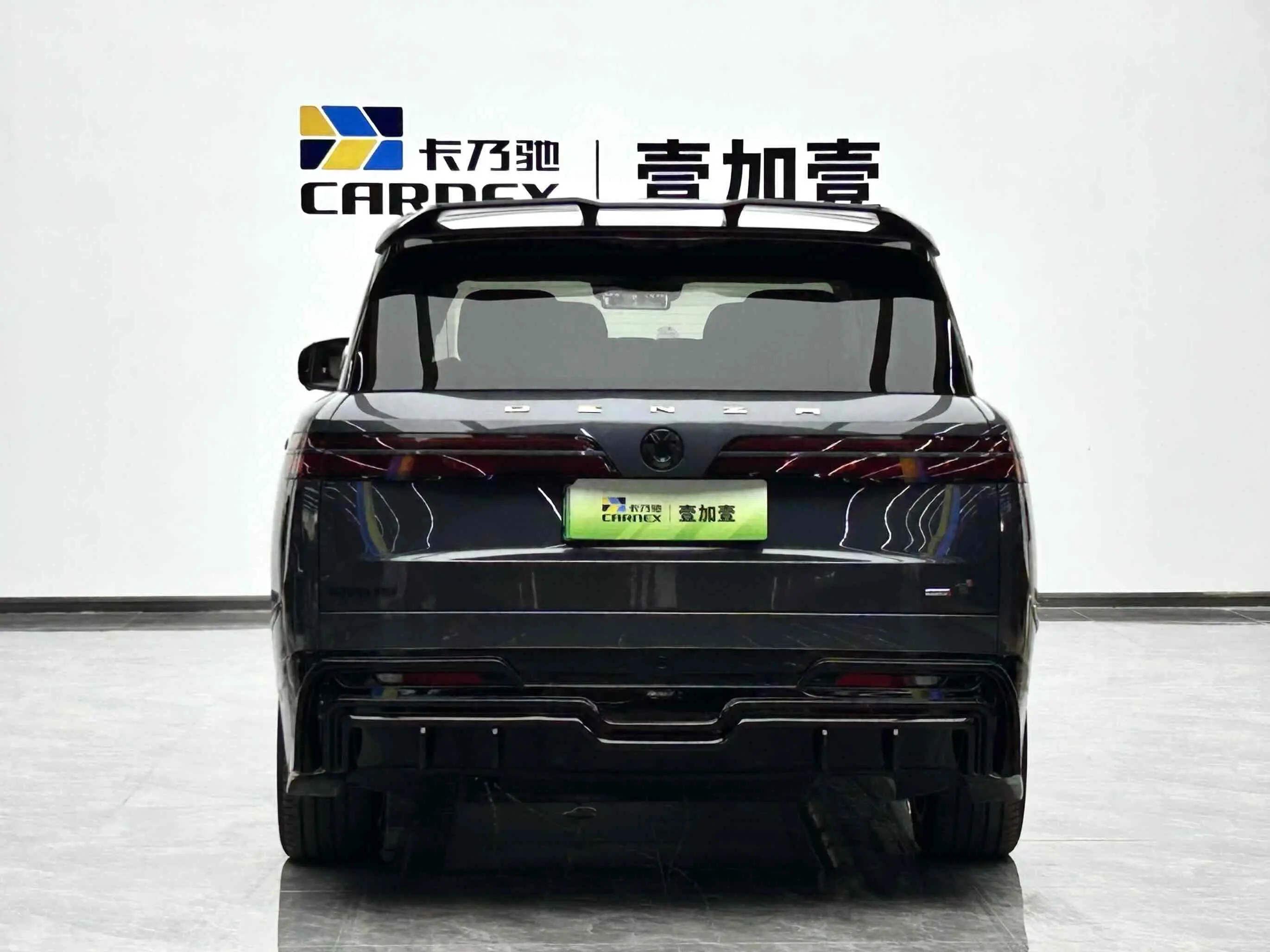 Denza Tengzhong N9 DM