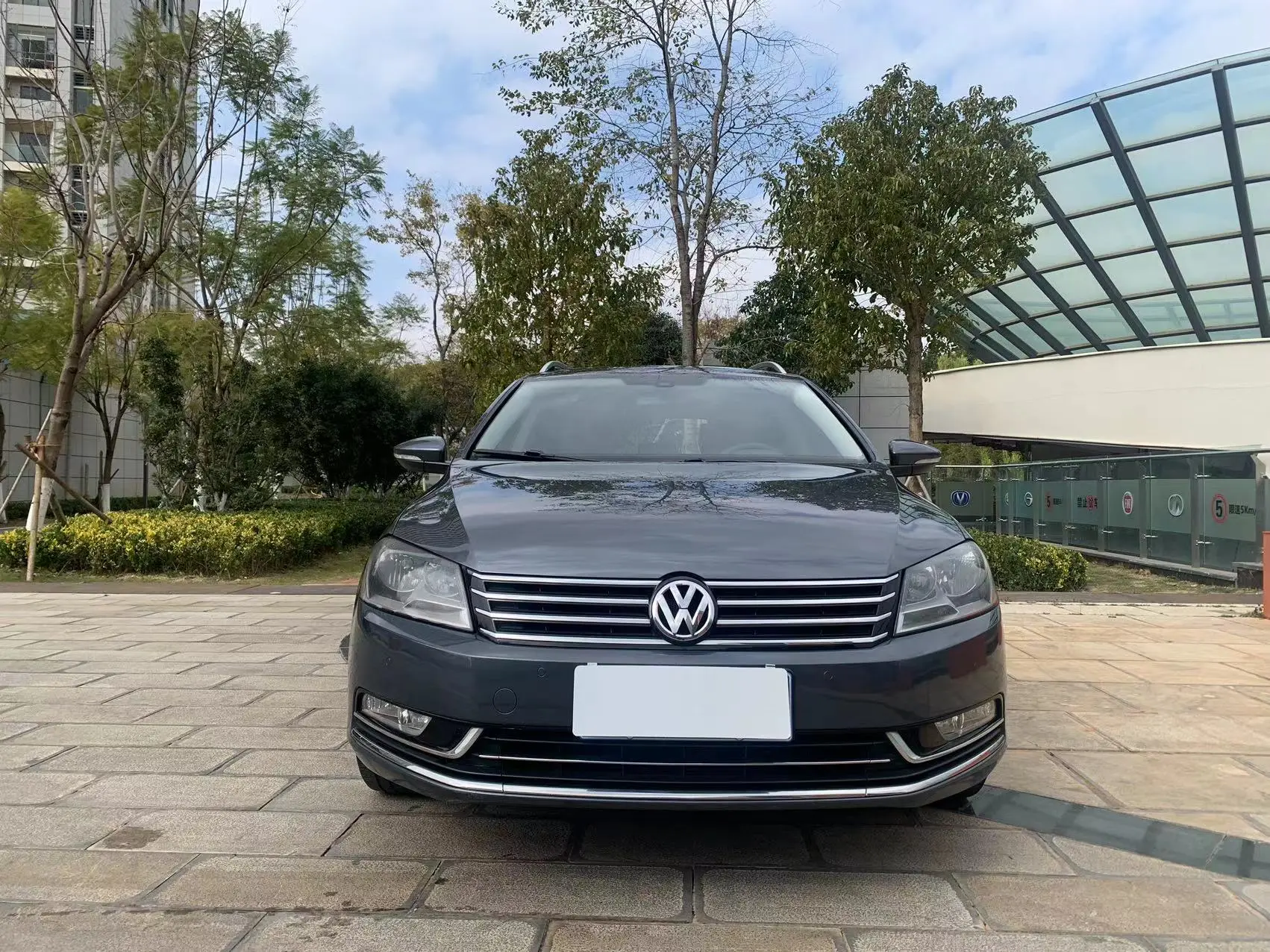 Volkswagen Magotan (imported)