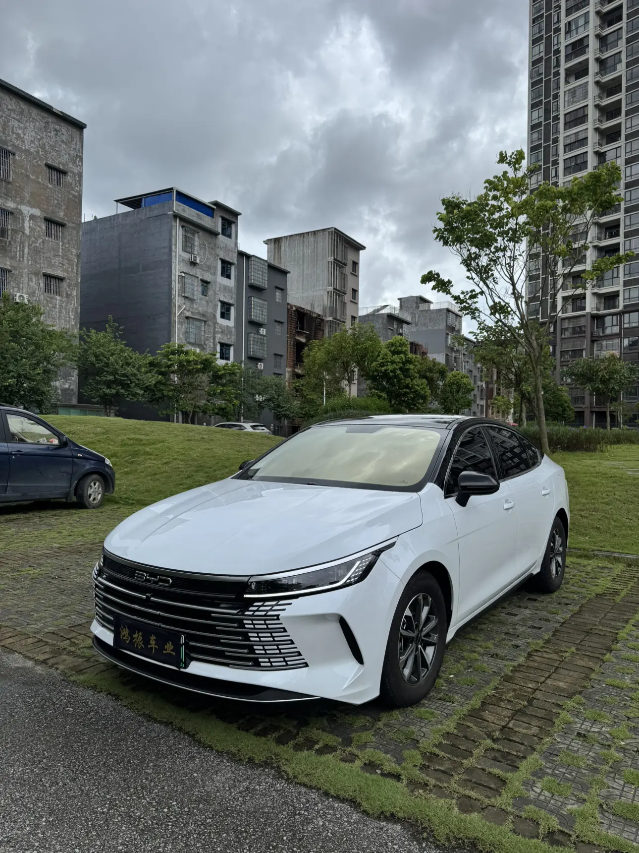 BYD Destroyer 05  из Китая