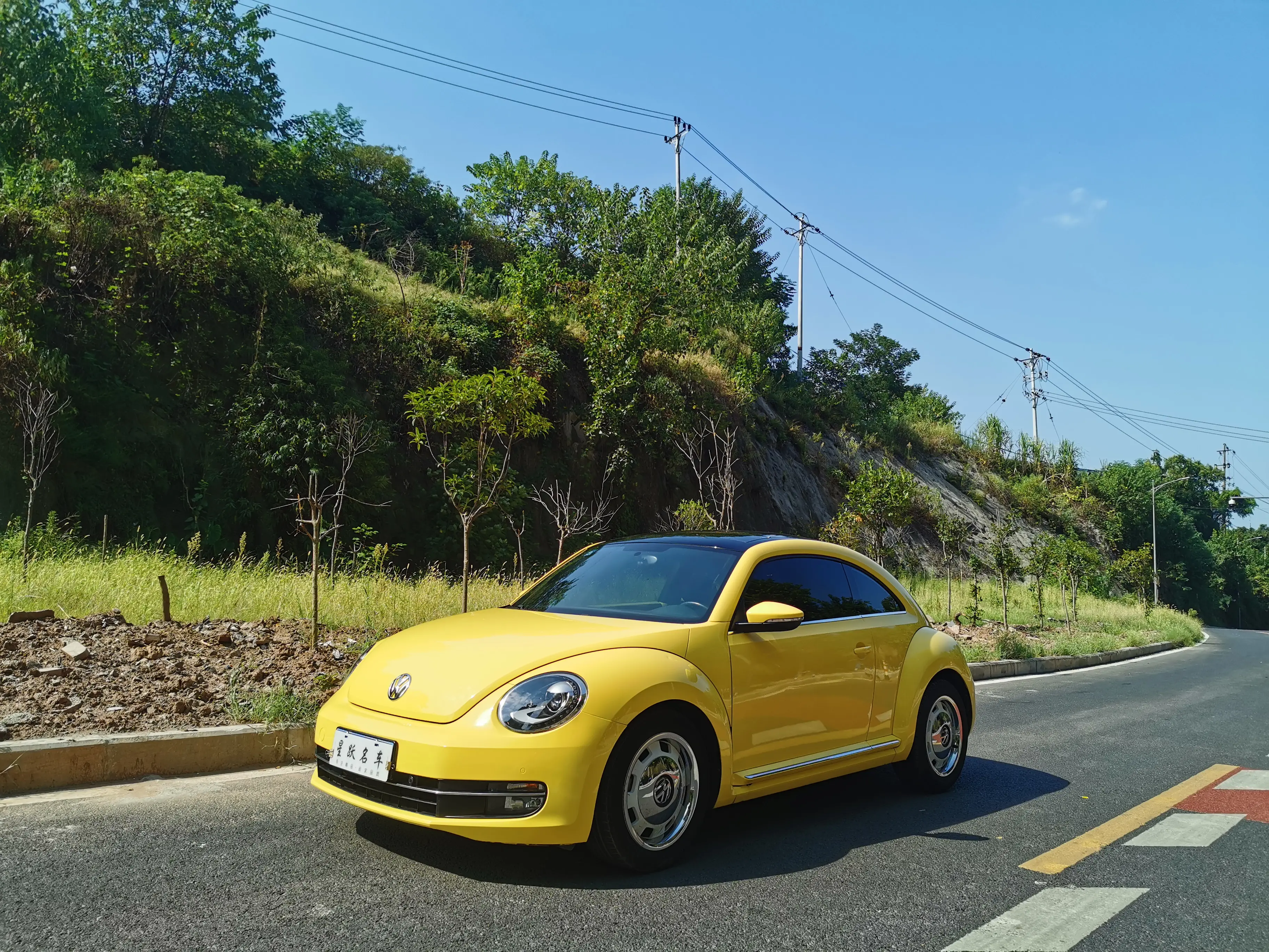 Volkswagen Beetle