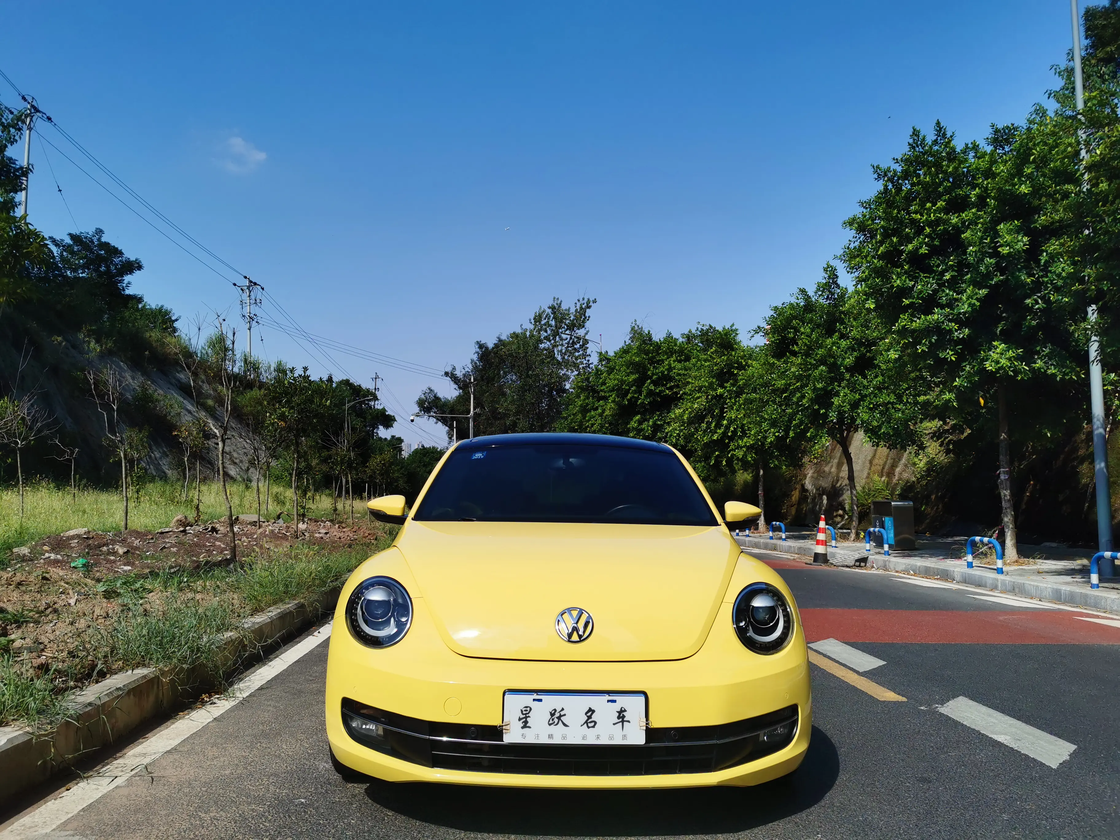 Volkswagen Beetle