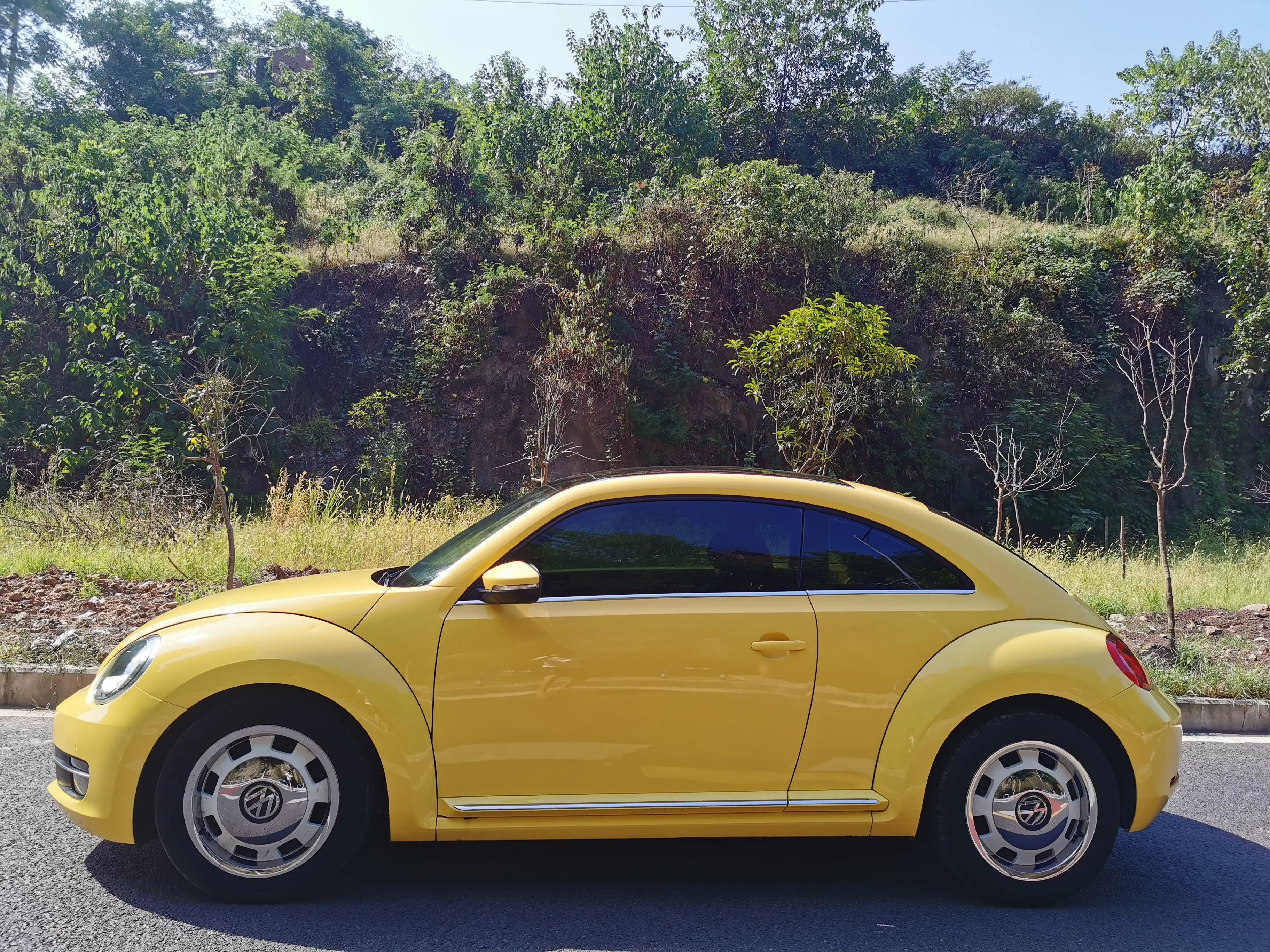 Volkswagen Beetle