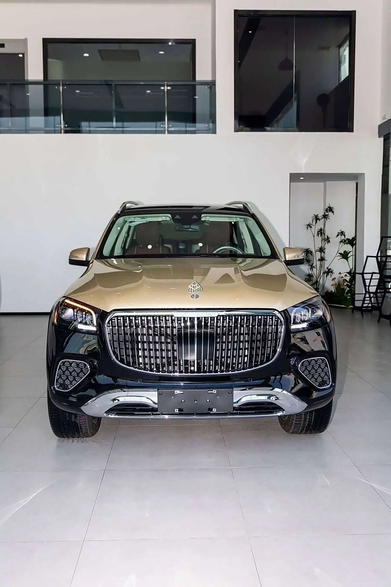 Mercedes-Benz Mercedes Benz GLS