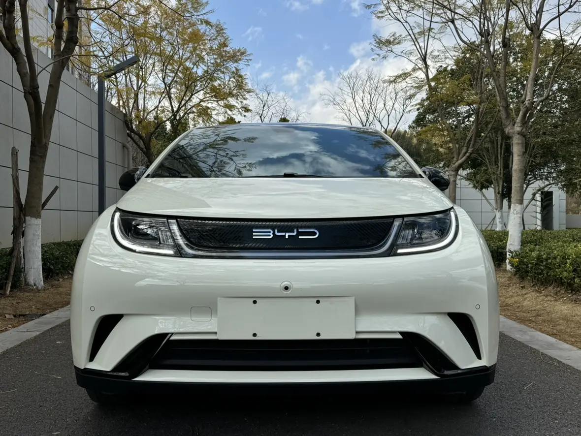 BYD Dolphin