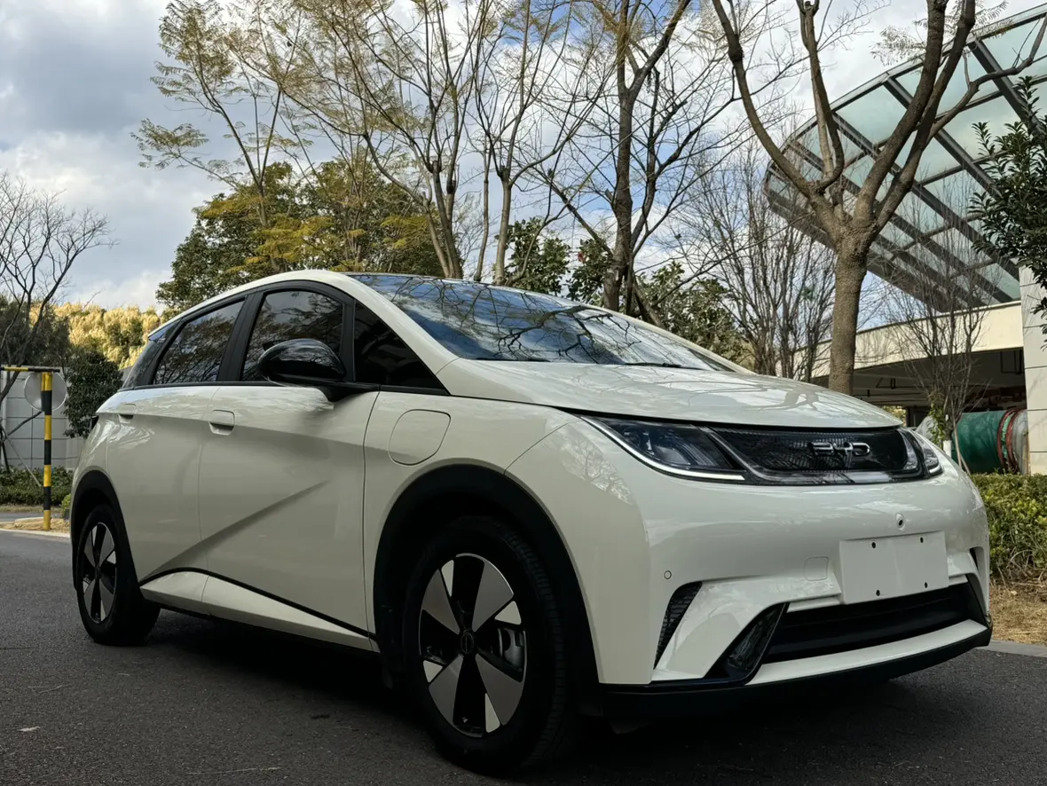 BYD Dolphin